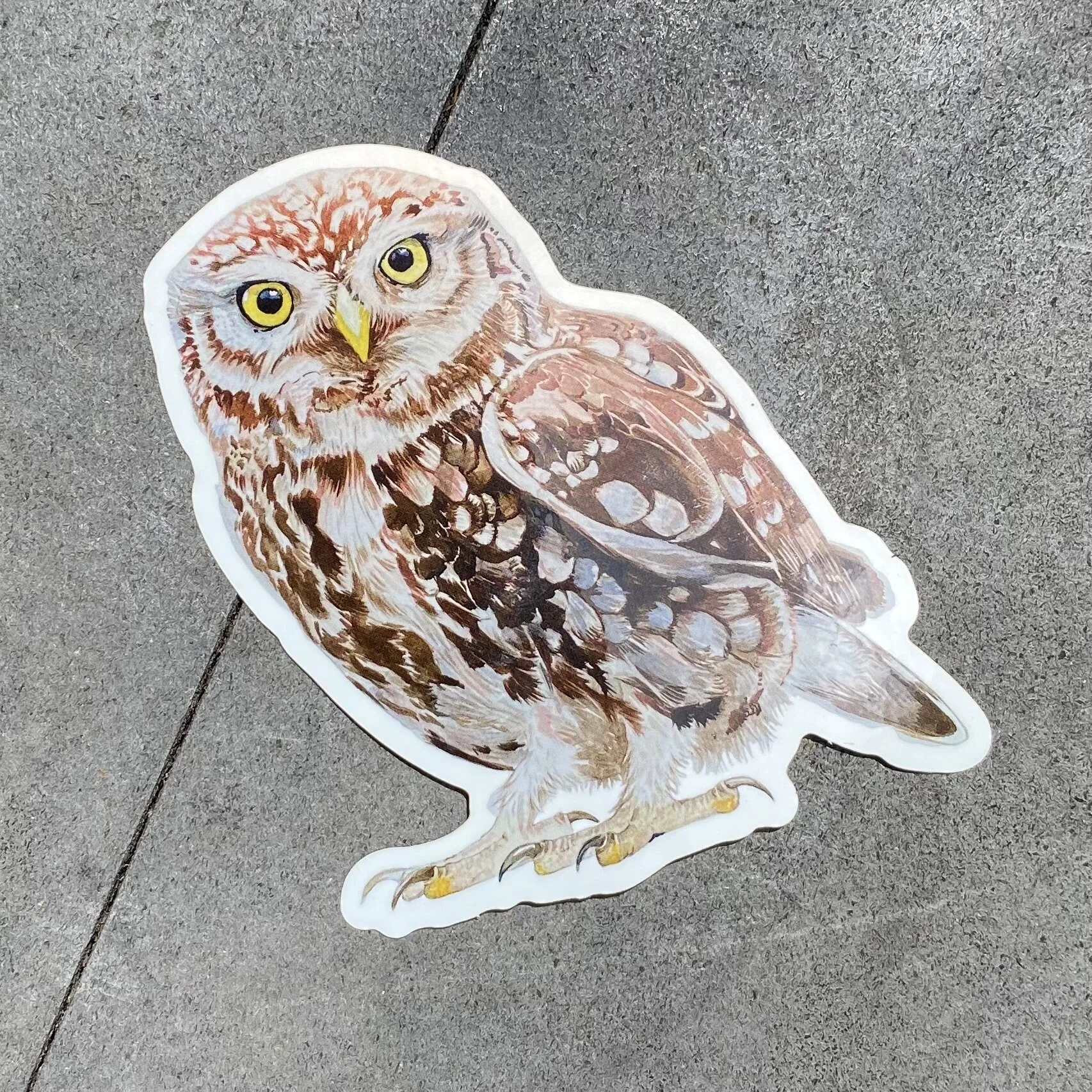 20CE20EC-FF13-49DF-8666-C8A38C622137