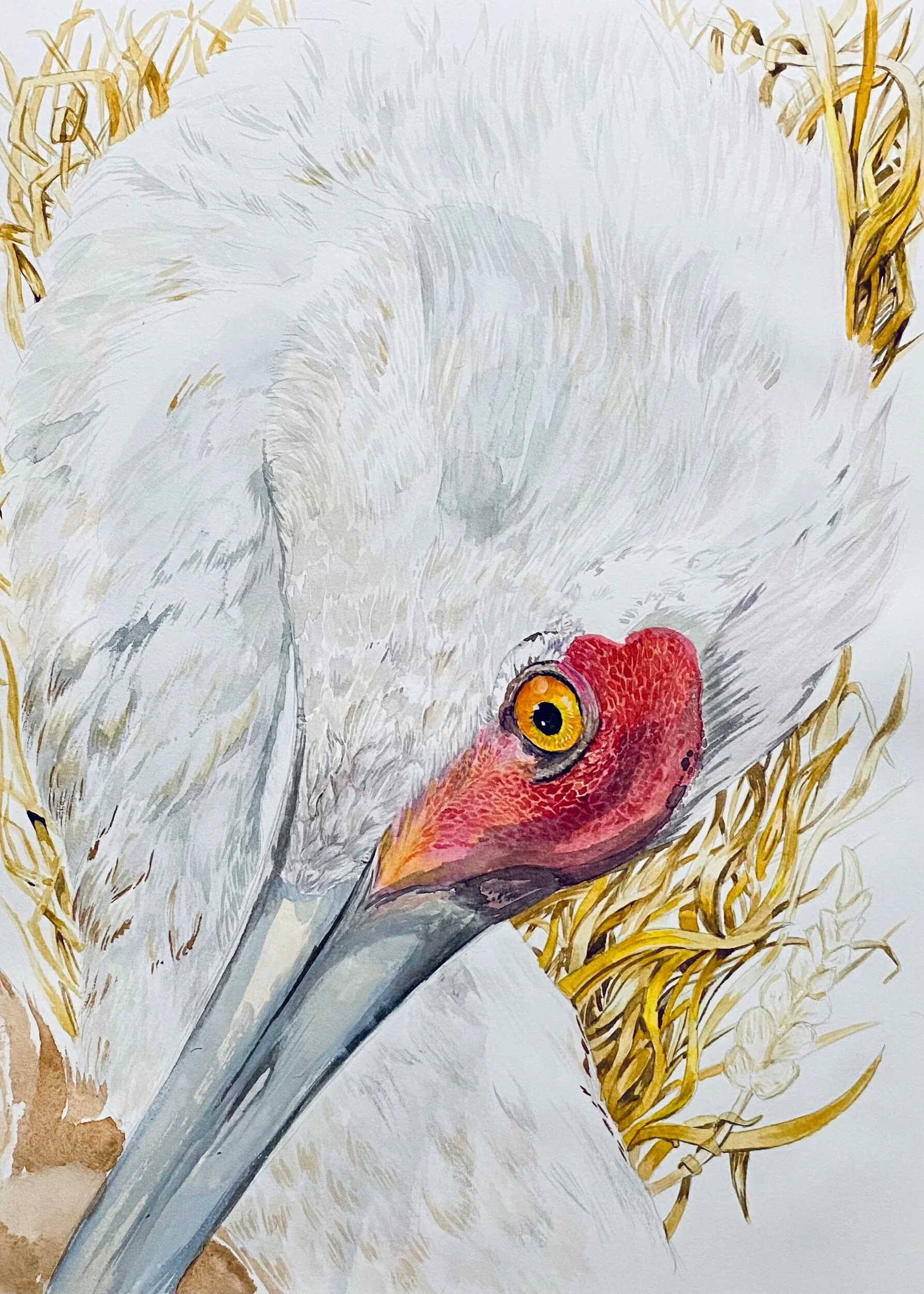 A34C160C-DD1F-4099-ABCF-758EB2689972