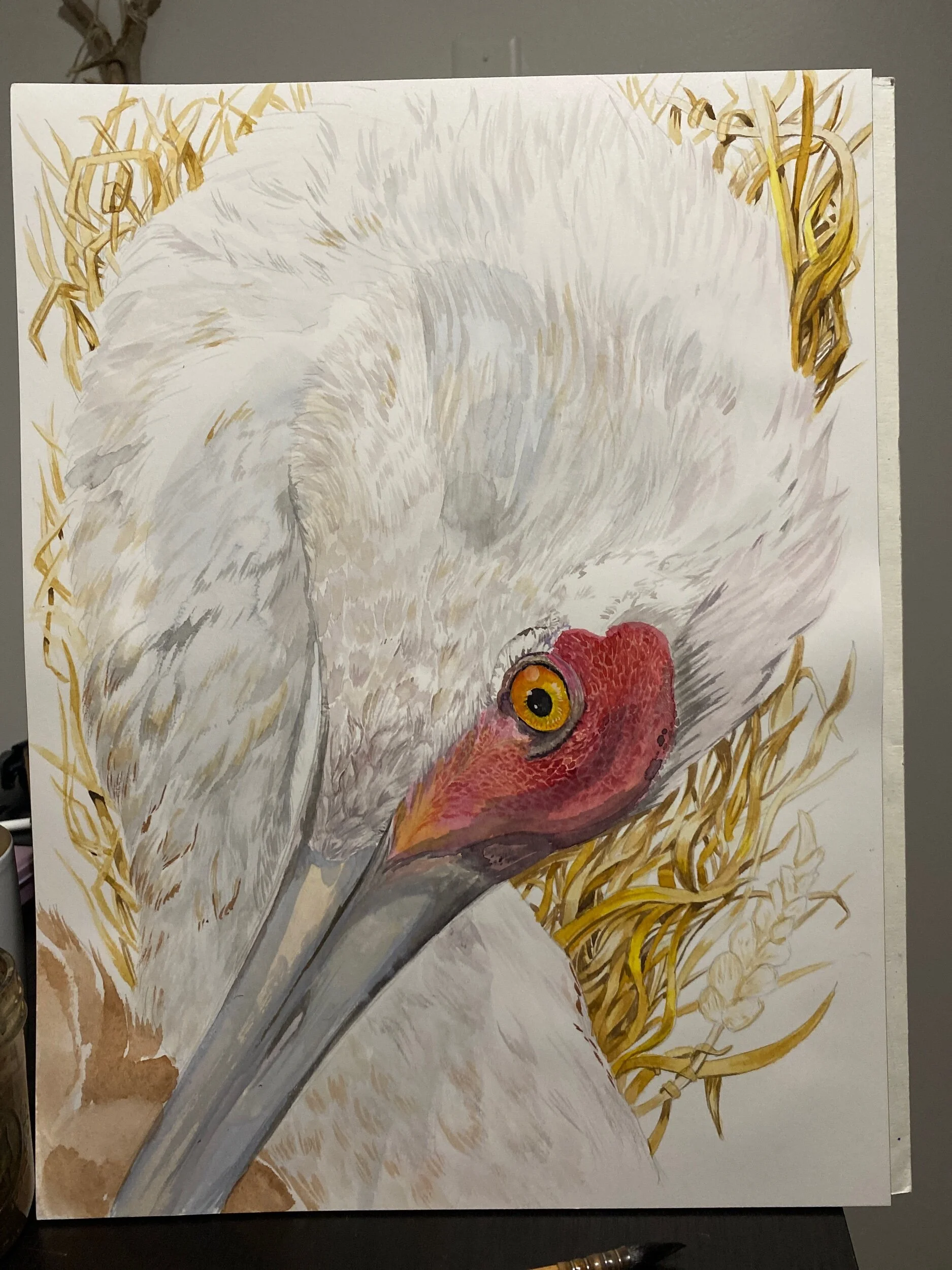 C42918F6-25B5-4190-80BB-2DE256742C64