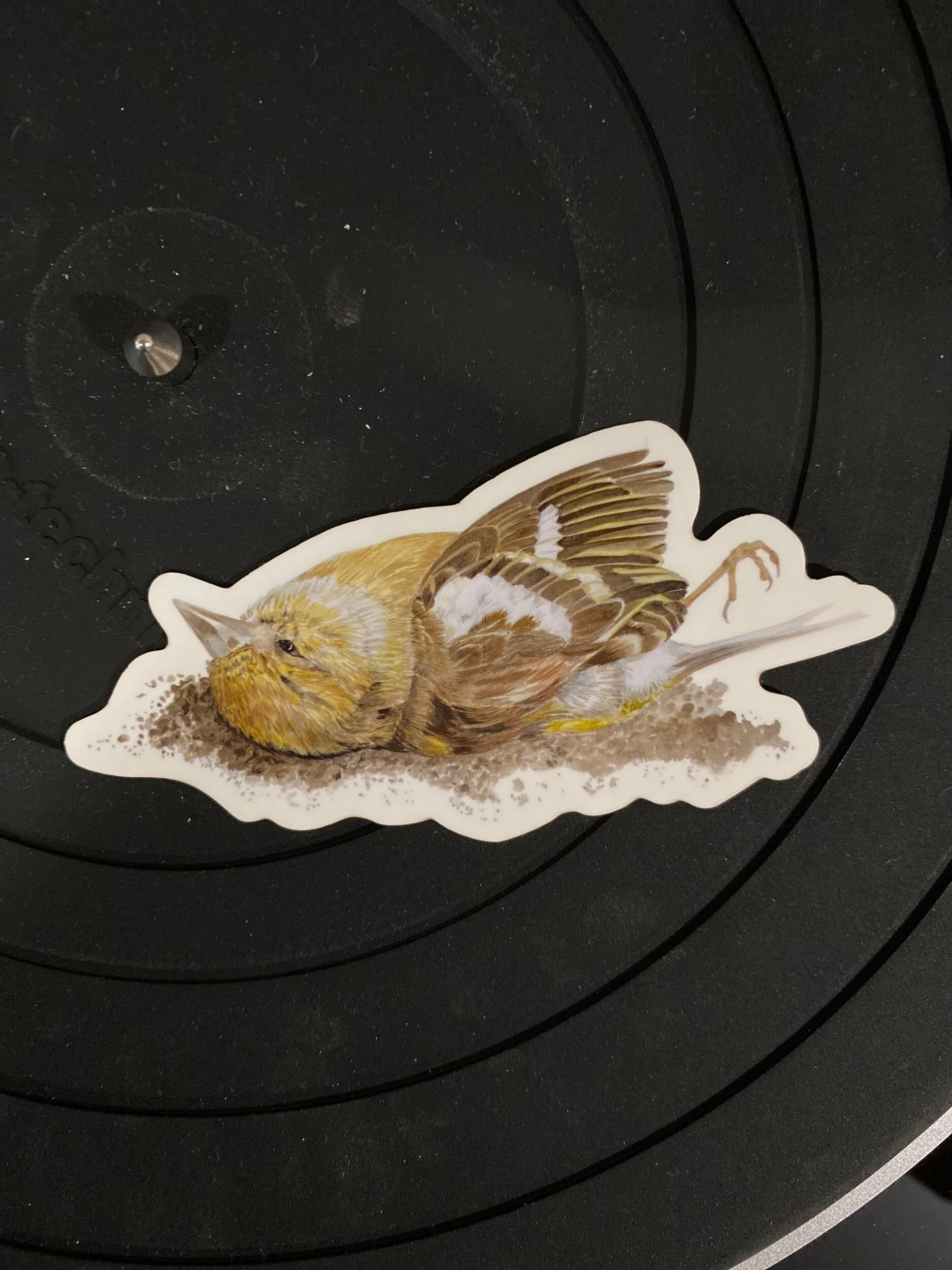 3DA94926-7146-4CD0-BFD4-92455C9BE905