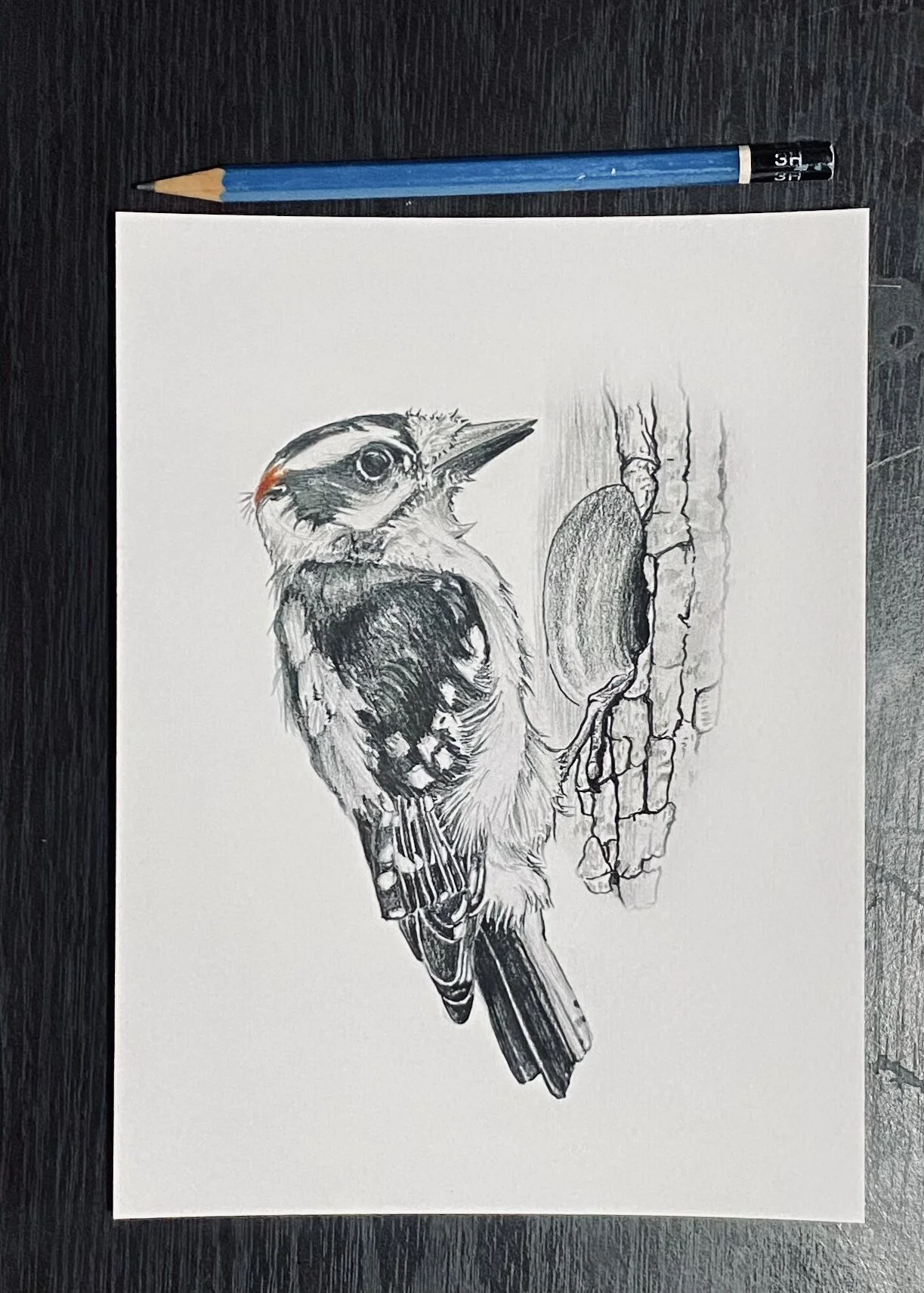 06CEAB28-A856-4CB0-BF69-B0D42BA22E44