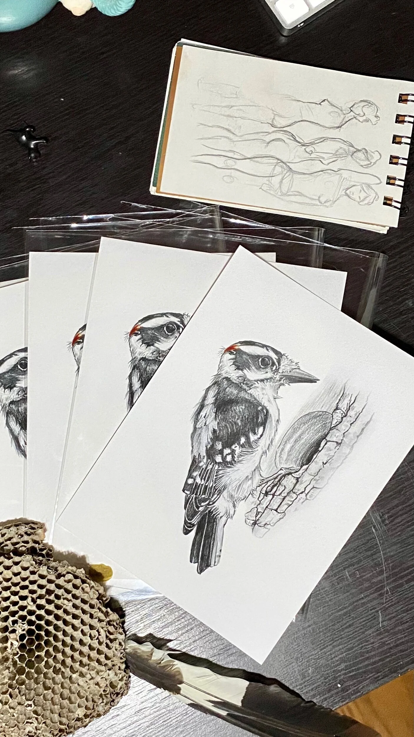 E295C223-3D82-4ED1-8432-CC812BF6F0E6