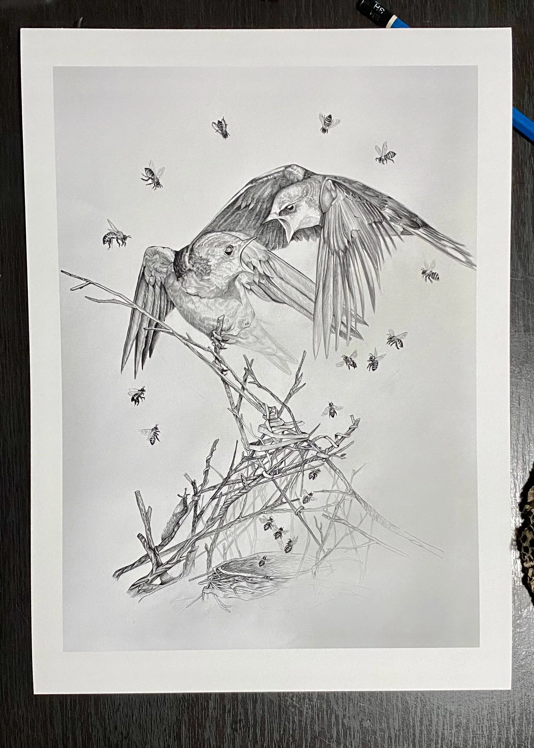 C3619FD9-E86C-4B4D-9B3B-77623049CC36