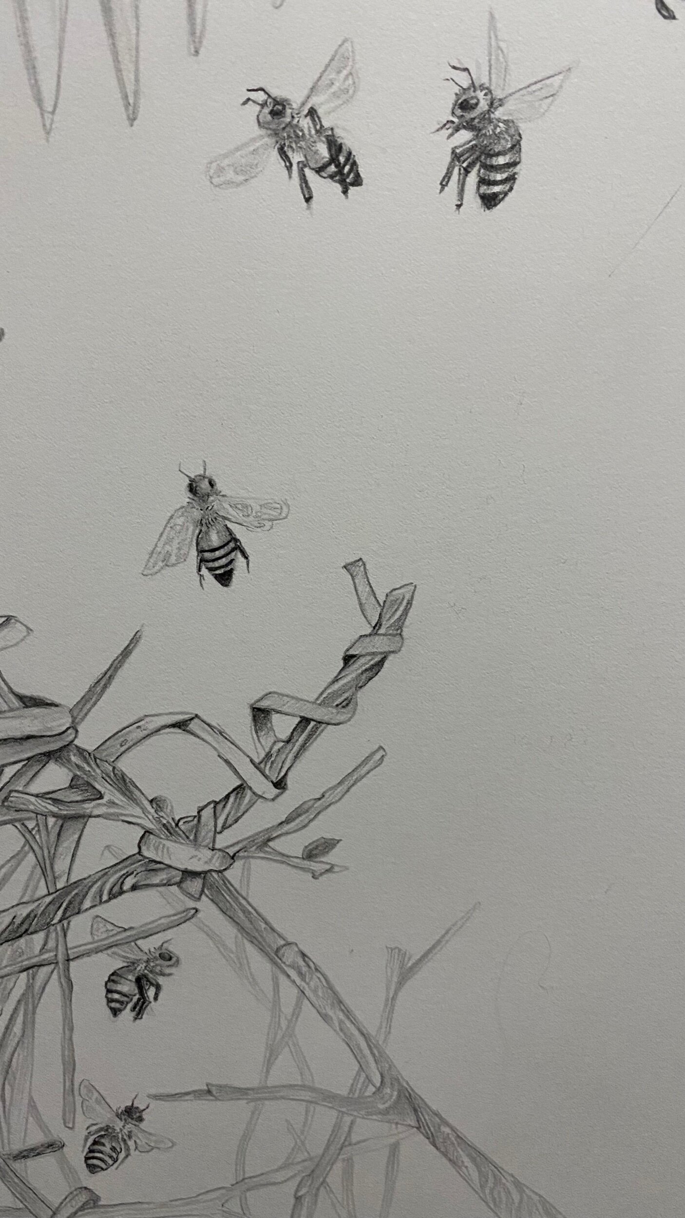 328D59EB-1532-4FCE-A350-348486B79032