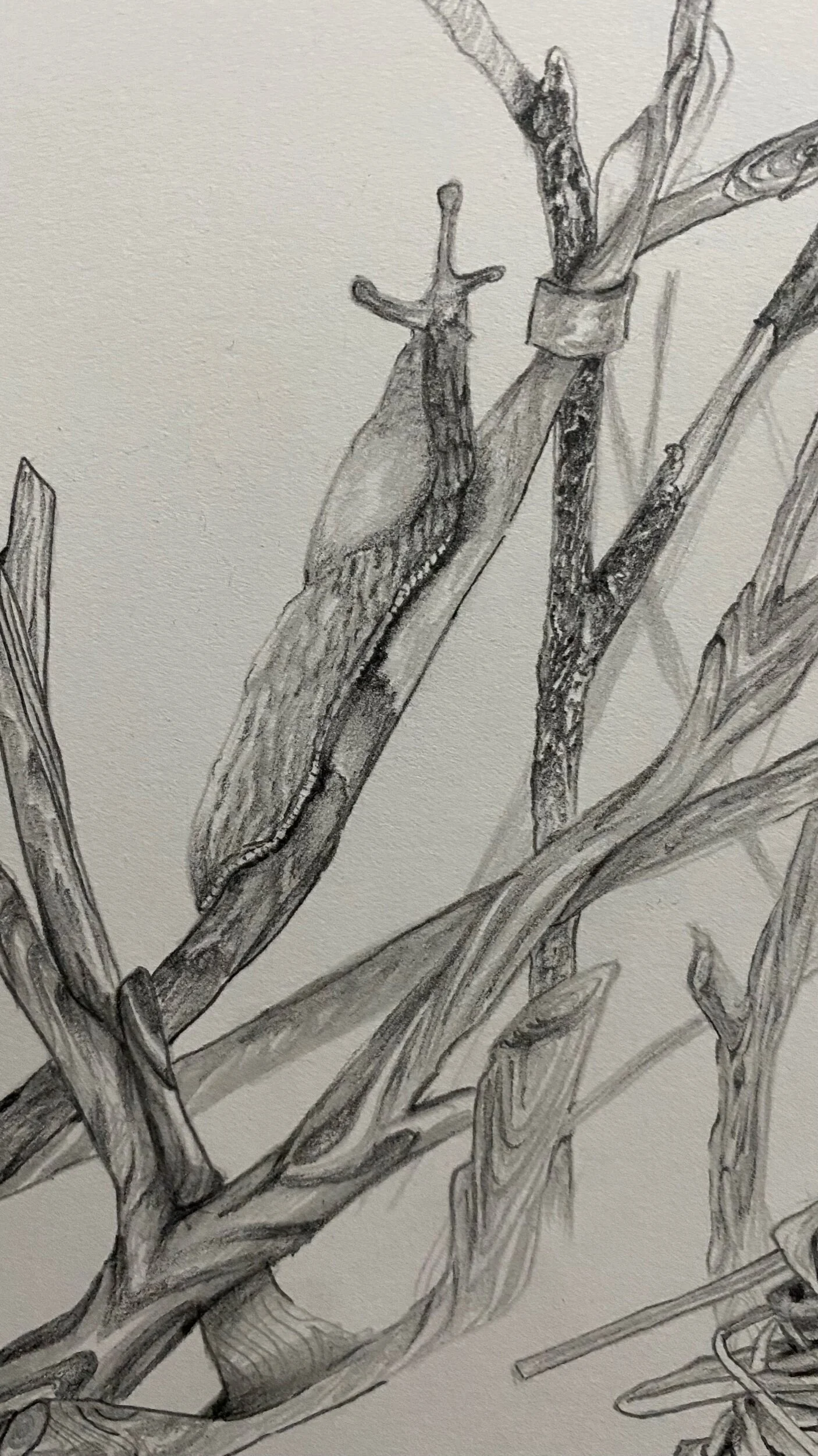 1C2D27AB-AB38-4DB5-A4BC-9DF4B92ECB99