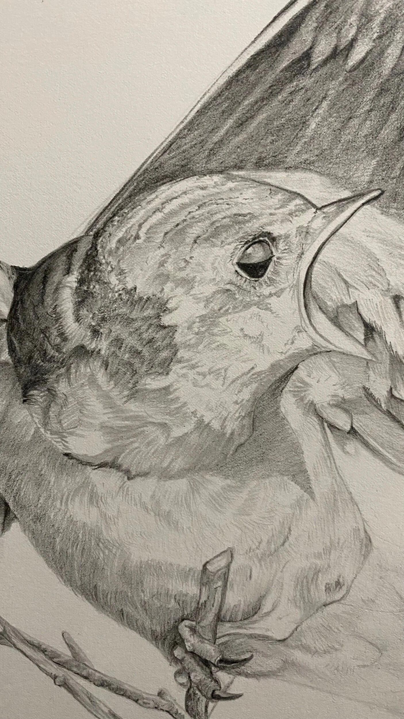 08DC9697-8A7A-4CC9-9B91-F596891083AC