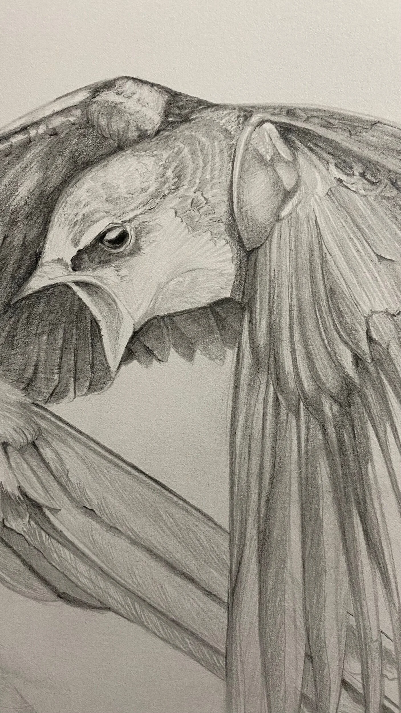 67428FAE-1F35-4BB2-B1A1-65EC3282ECCC