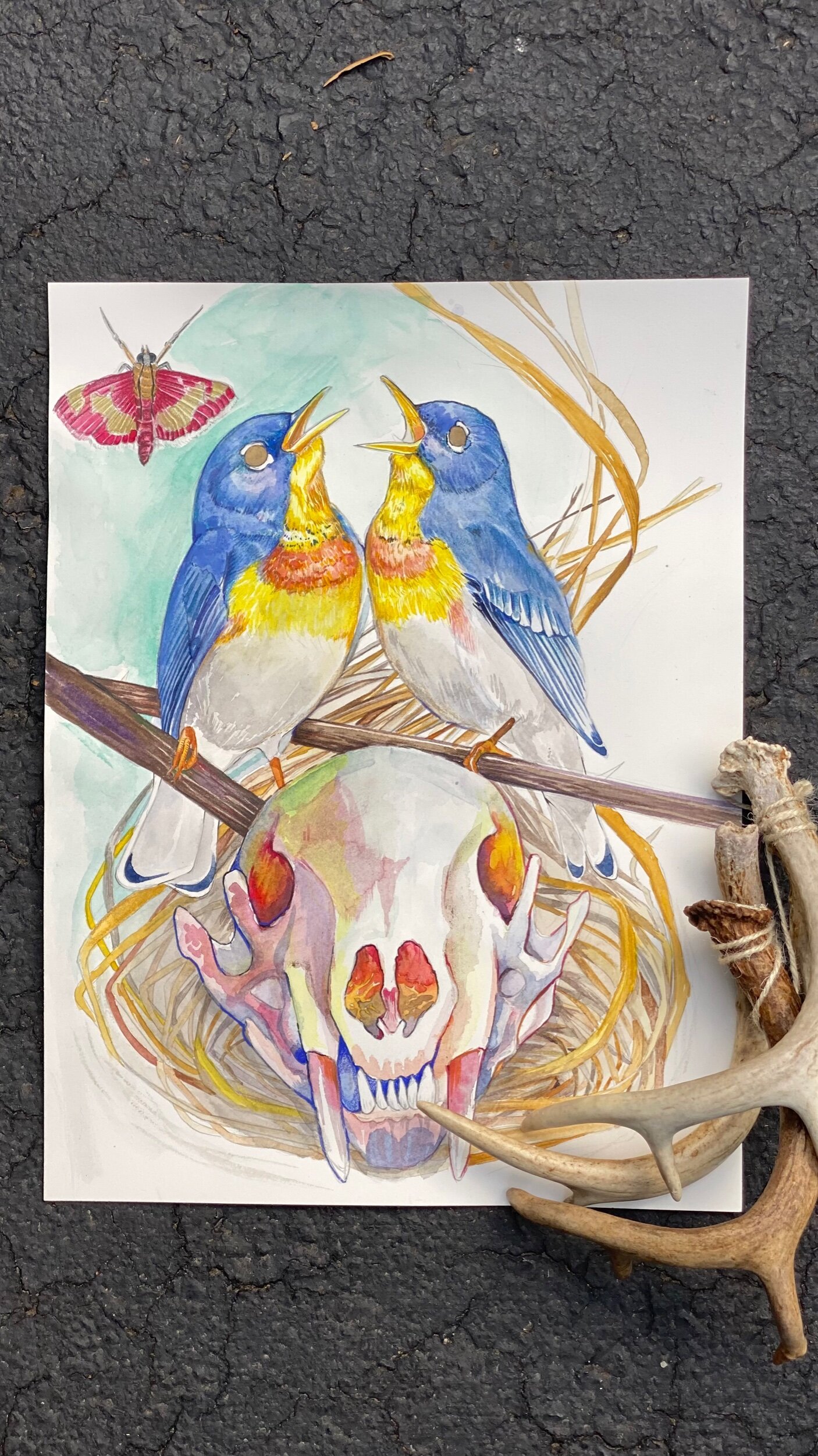 A9DBA65E-96BC-408F-AE76-92DDC137E0B0