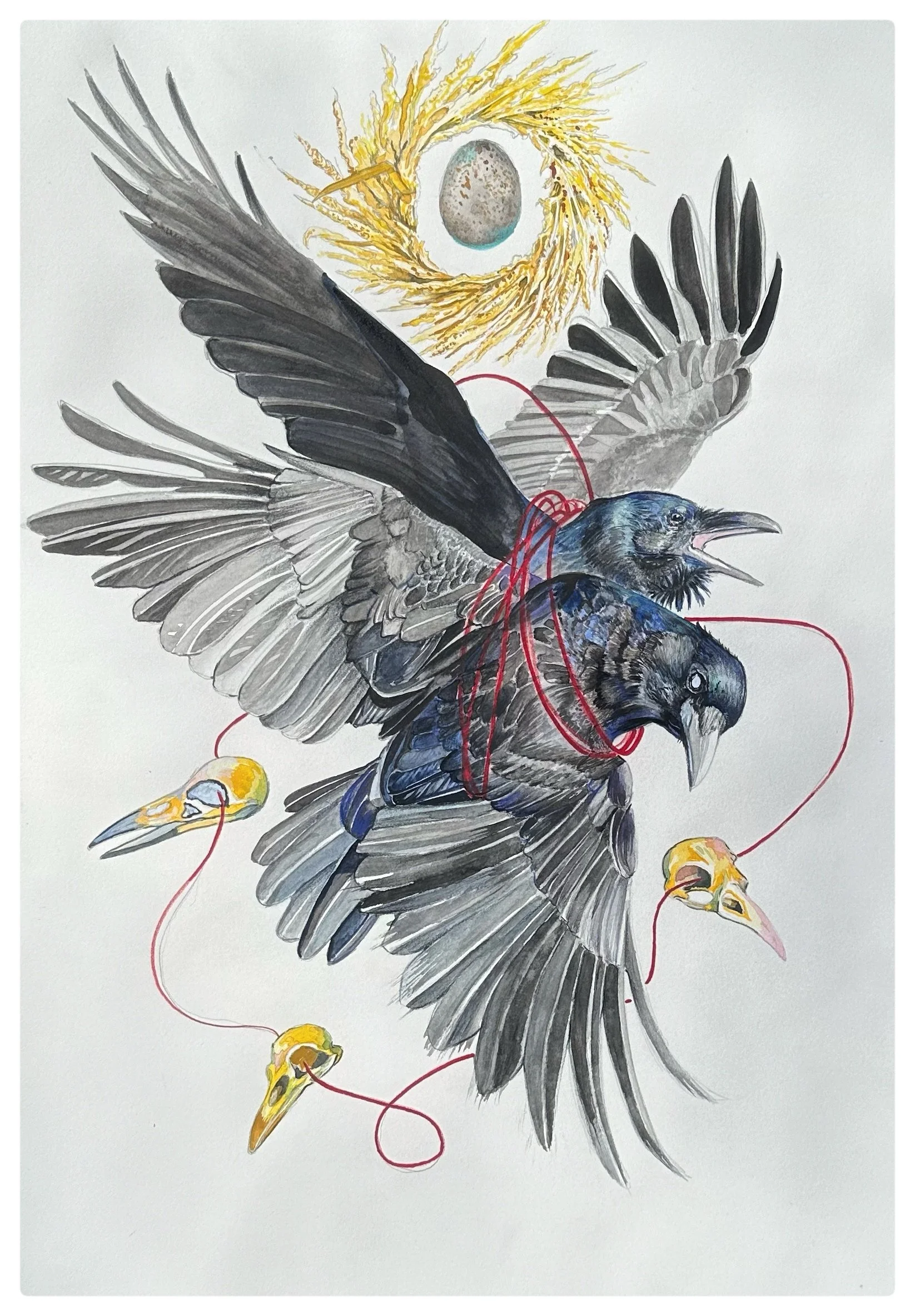 8084F956-194E-43B0-BB7D-E85D6ED22209