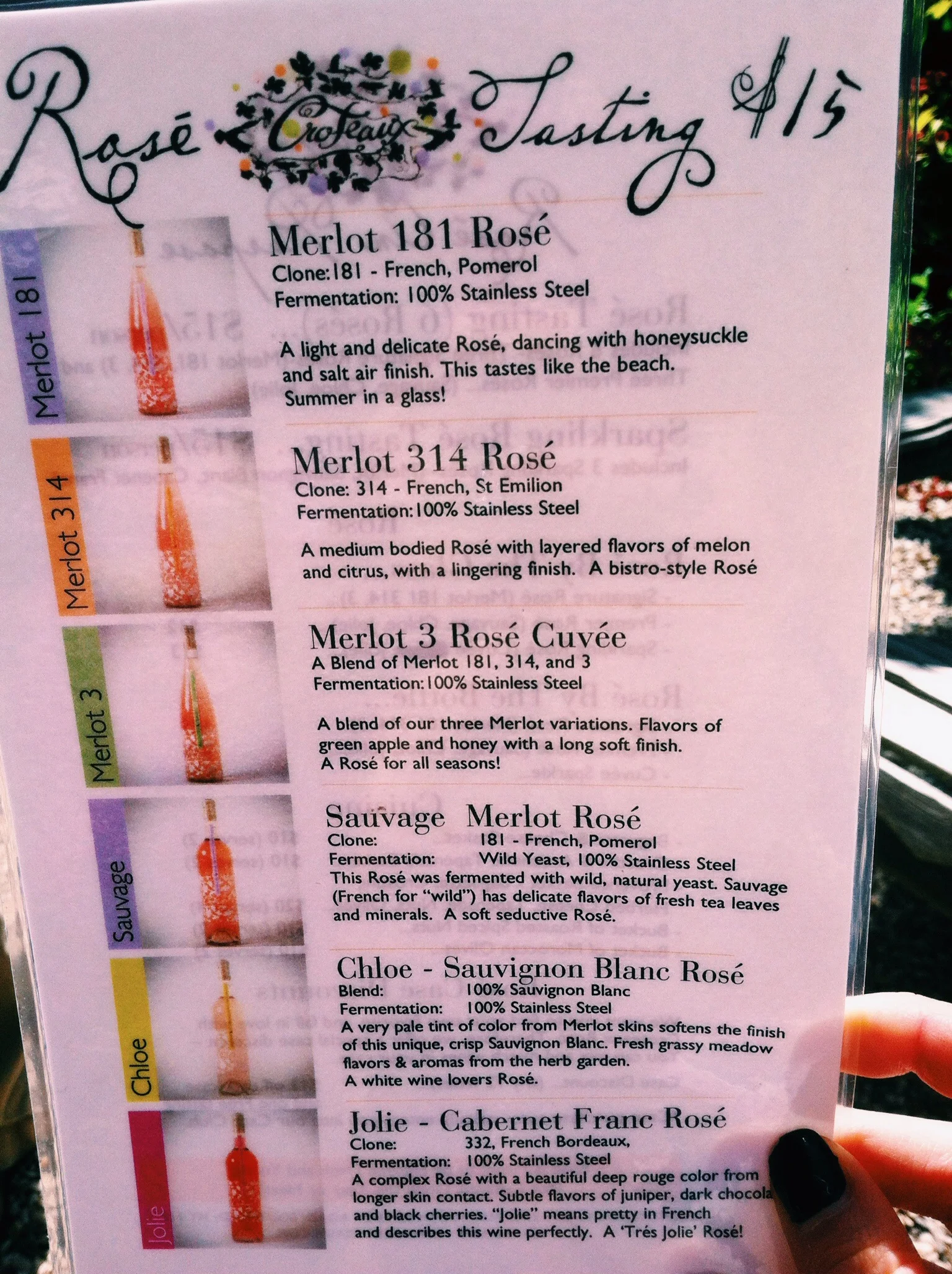 The rose lineup. Photo by Shana Sokol, Shana Speaks Wine. 