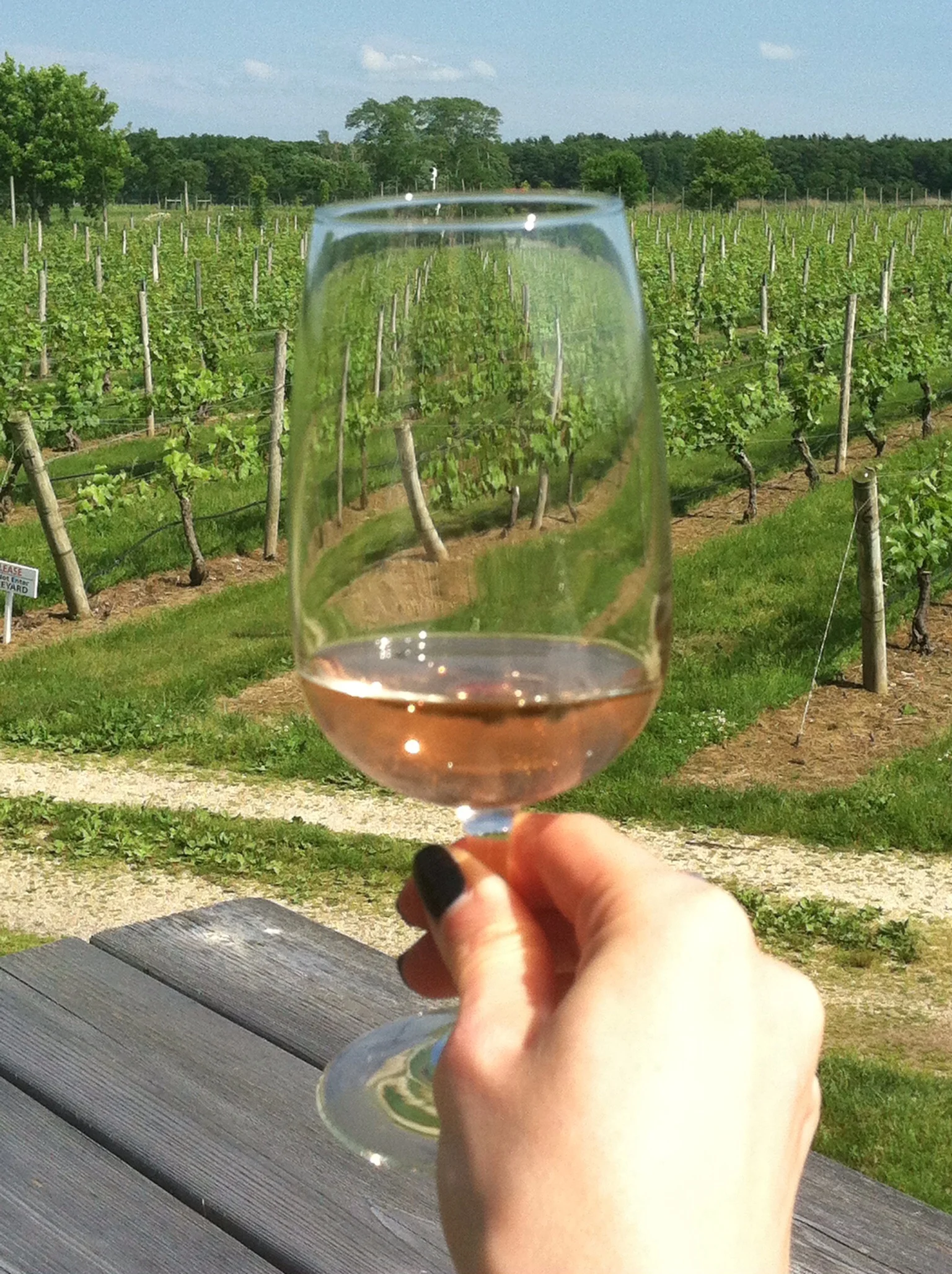 If this isn't the essence of summer, I don't know what is. Photo by Shana Sokol, Shana Speaks Wine.