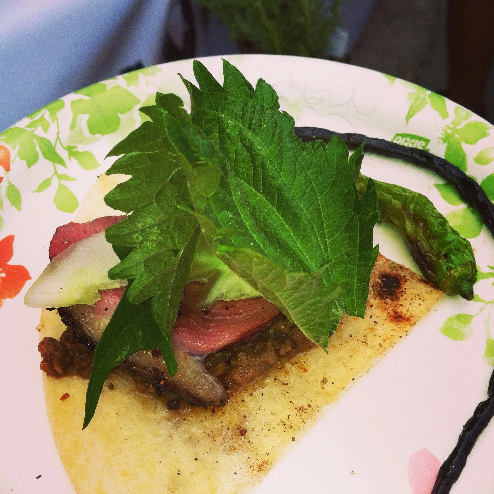 BBQ duck from Nightingale 9. Photo by Shana Sokol, Shana Speaks Wine.