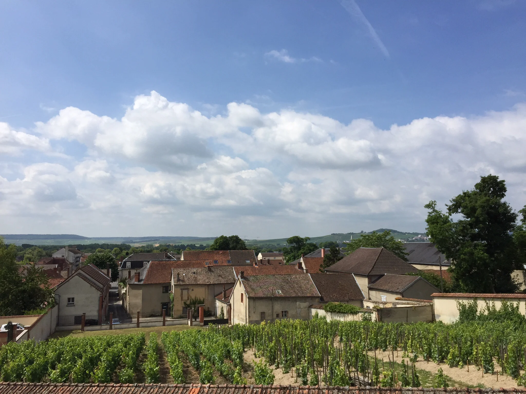 Quite the view. Photo by Shana Sokol, Shana Speaks Wine.
