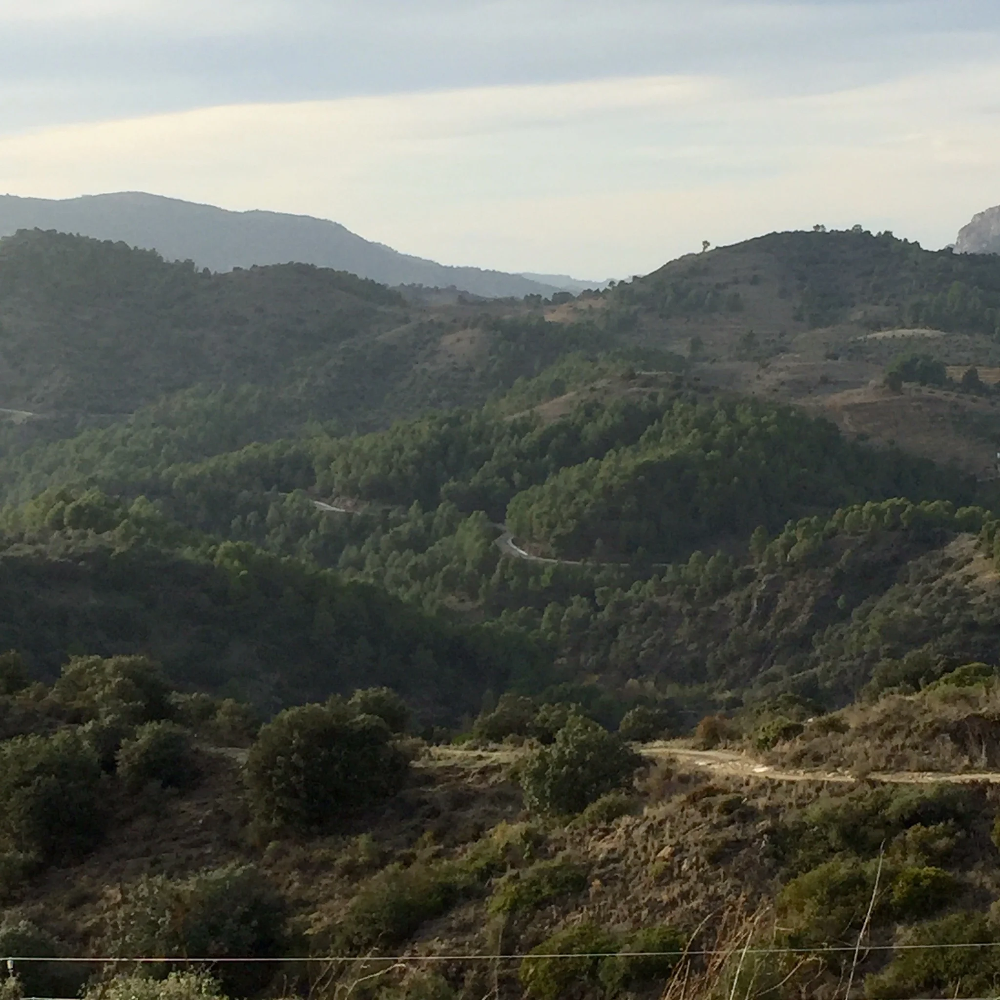 Winding roads in Priorat