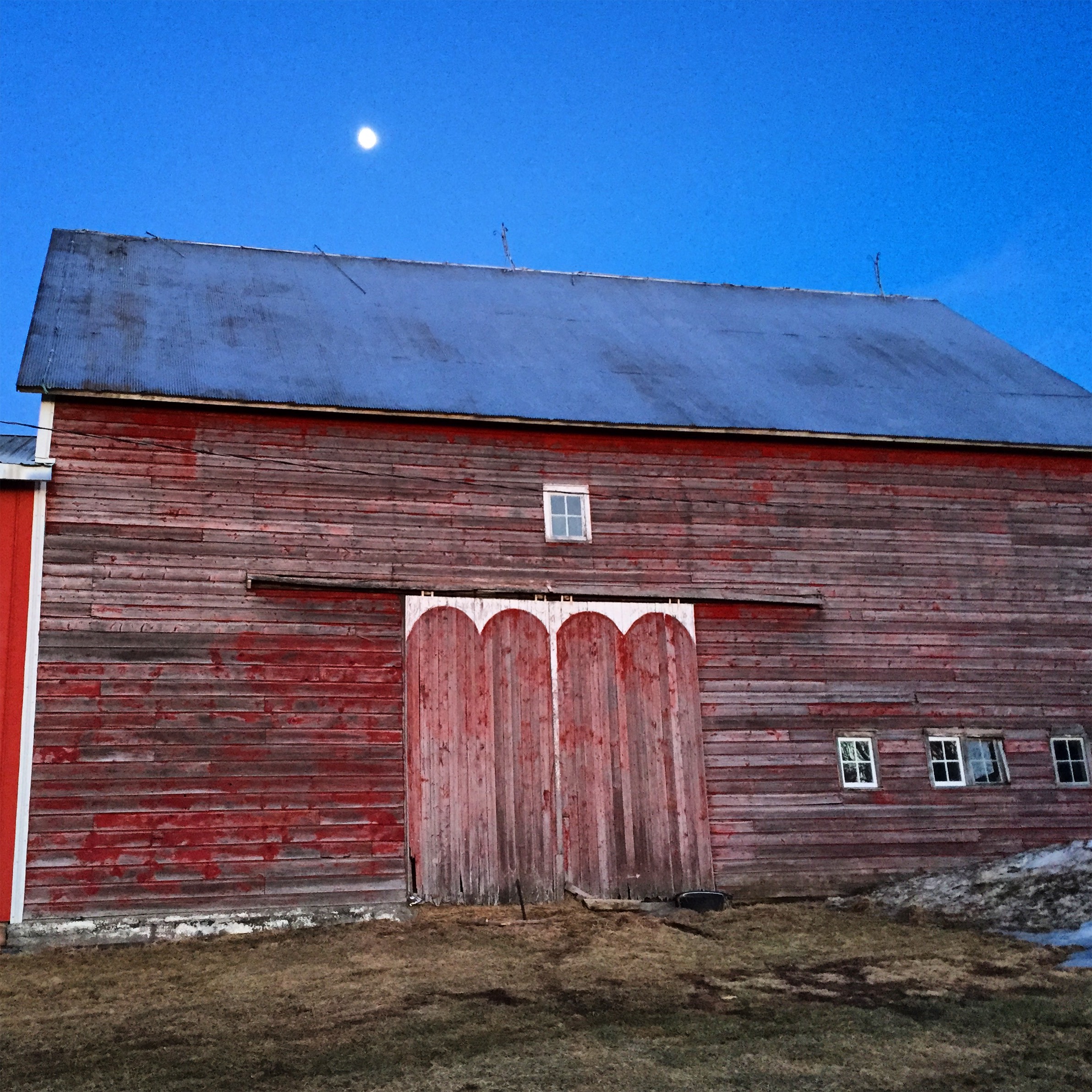 Farming Made Me a Feminist