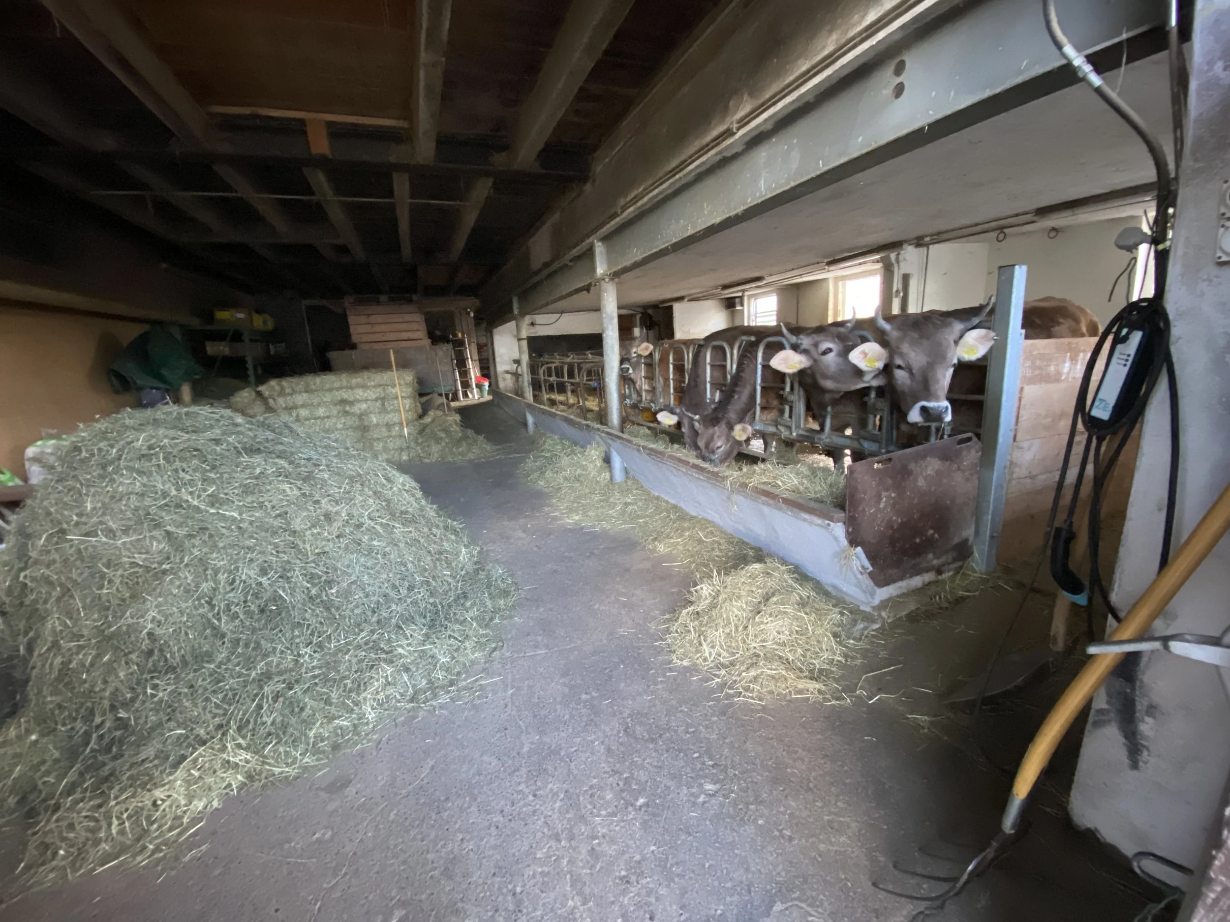 2024 European Tour Journal: Day 7