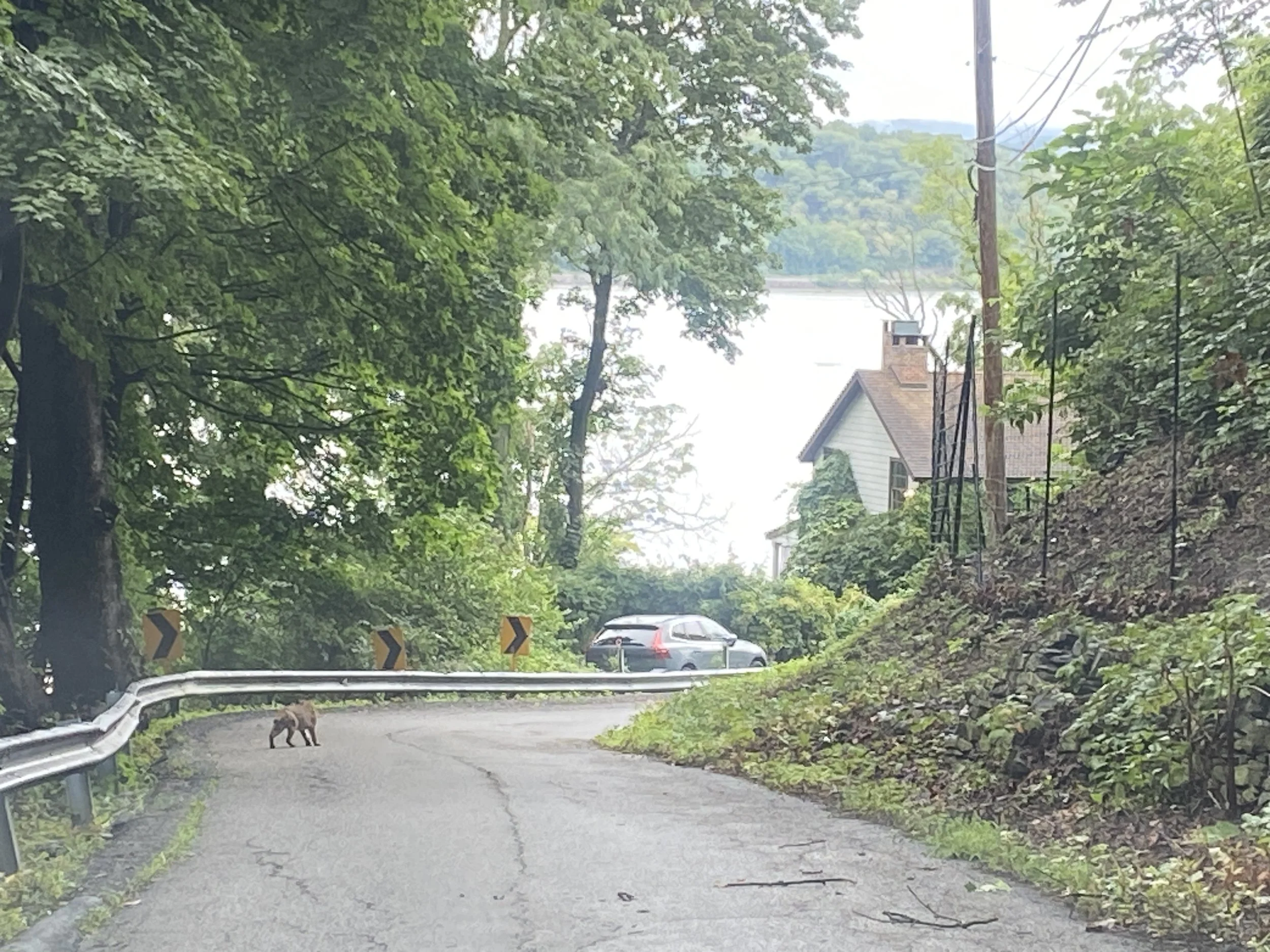 Inspiration Is So Rude