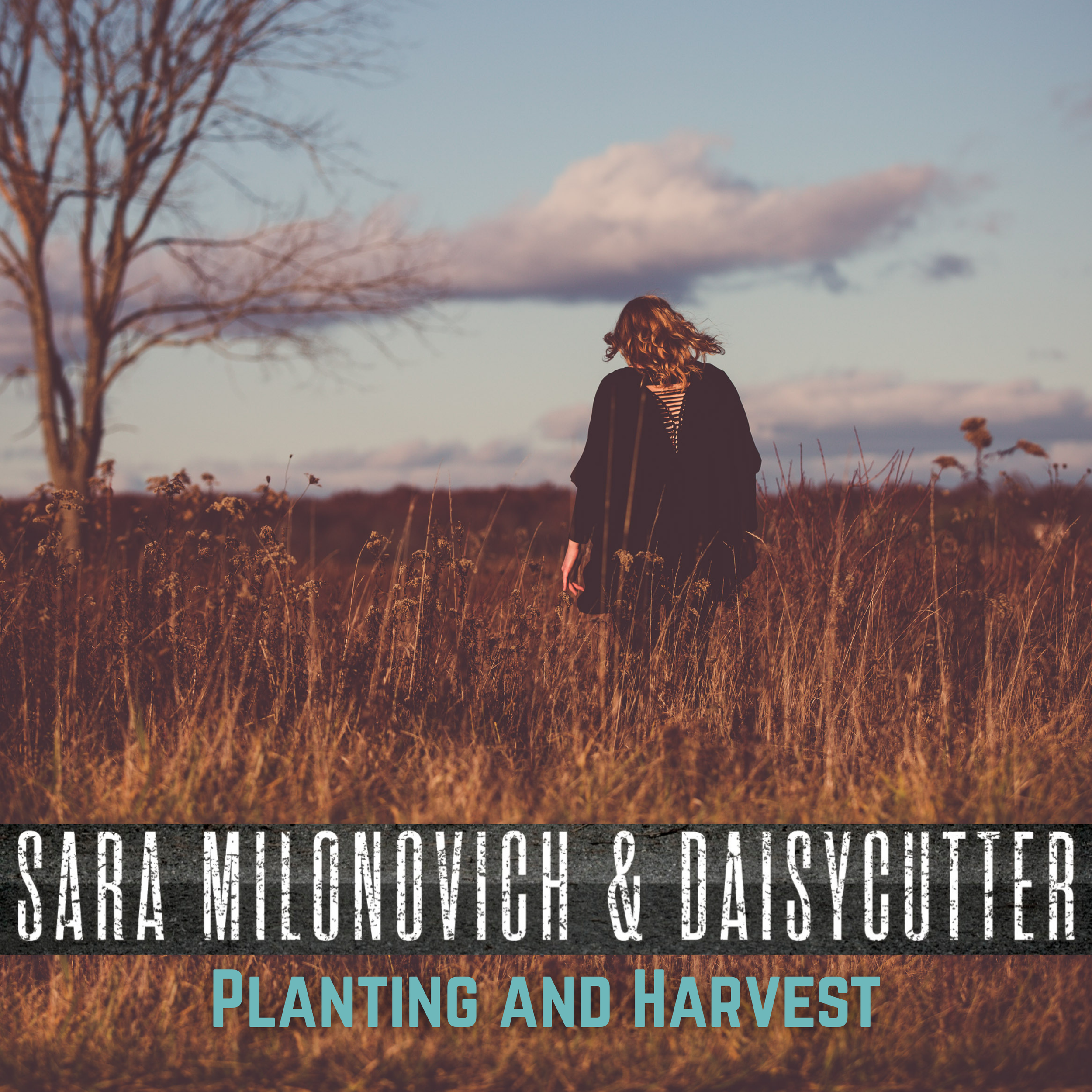 Planting and Harvest Art.png