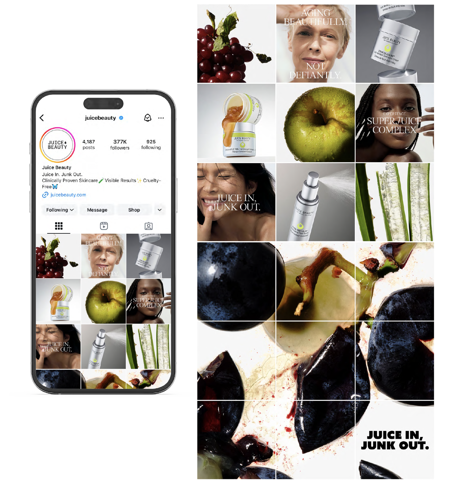 Screenshot 2025-03-10 at 6.52.32 PM.png