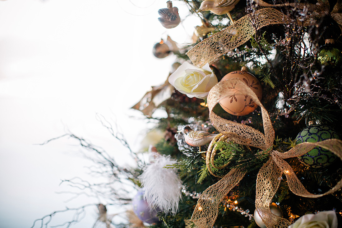 LeannePedersenPhotographers017.jpg