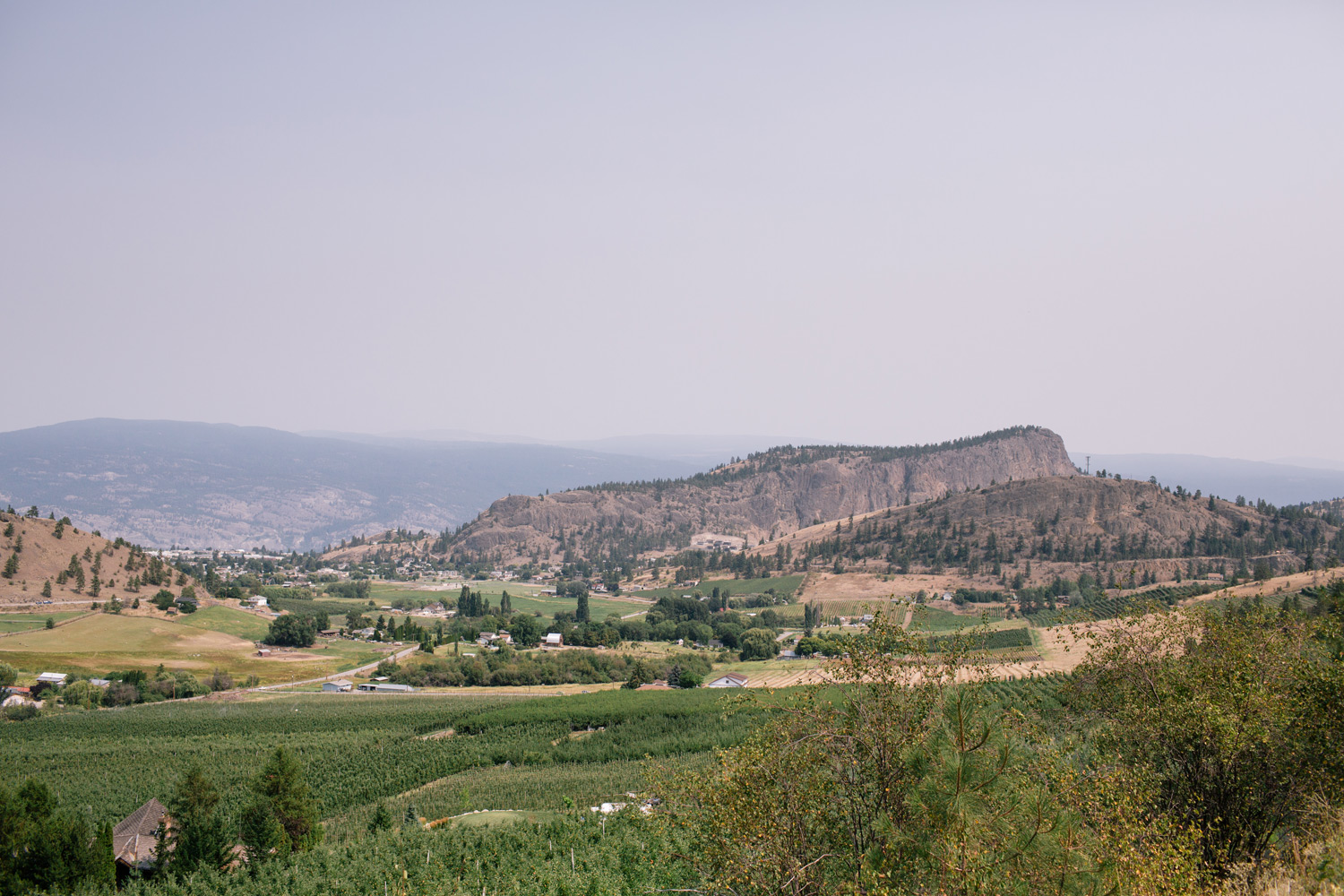 LeannePedersenPhotographers-VancouverPortraitPhotographer-summer2014-okanagan002.jpg