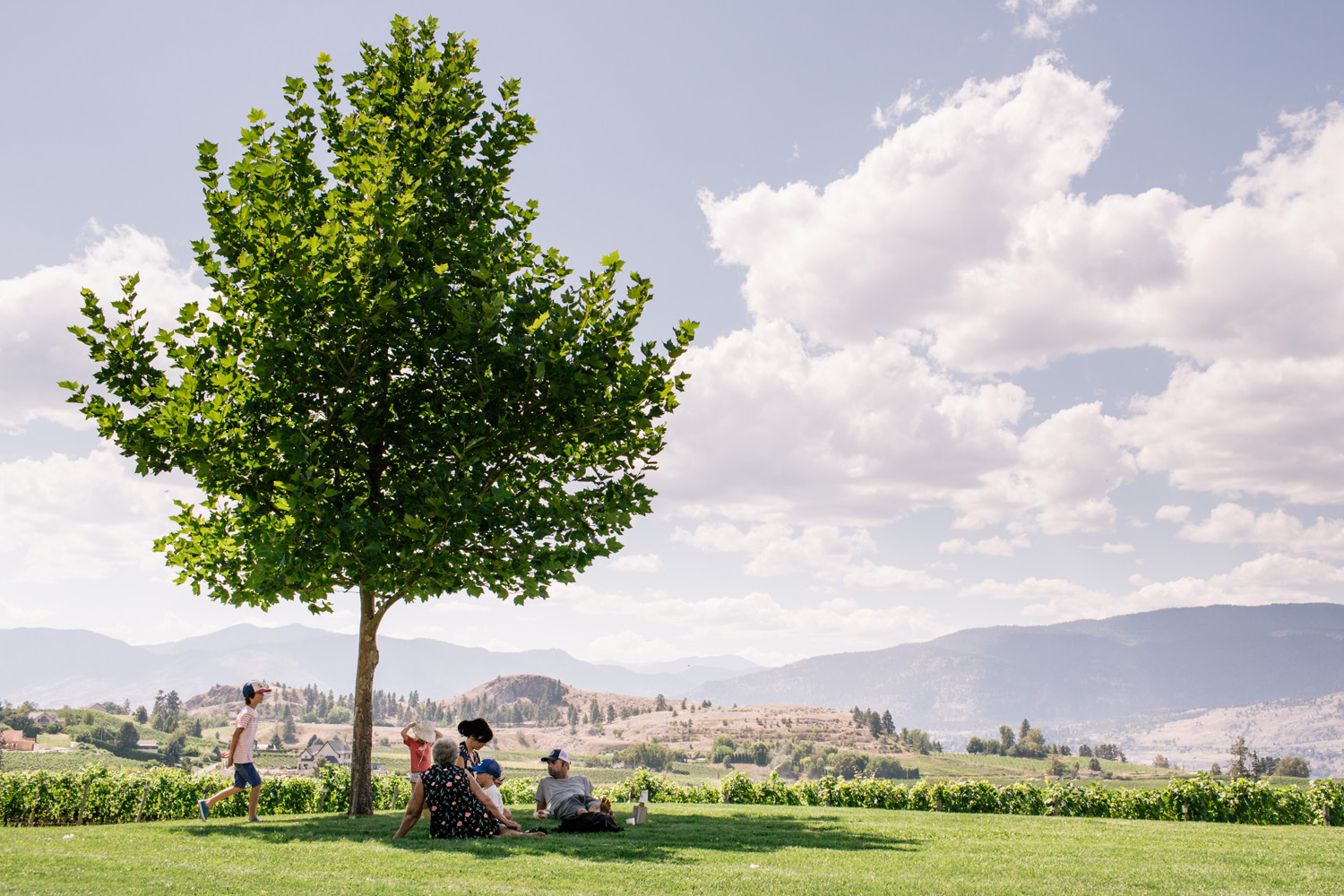 LeannePedersenPhotographers-VancouverPortraitPhotographer-summer2014-okanagan016.jpg