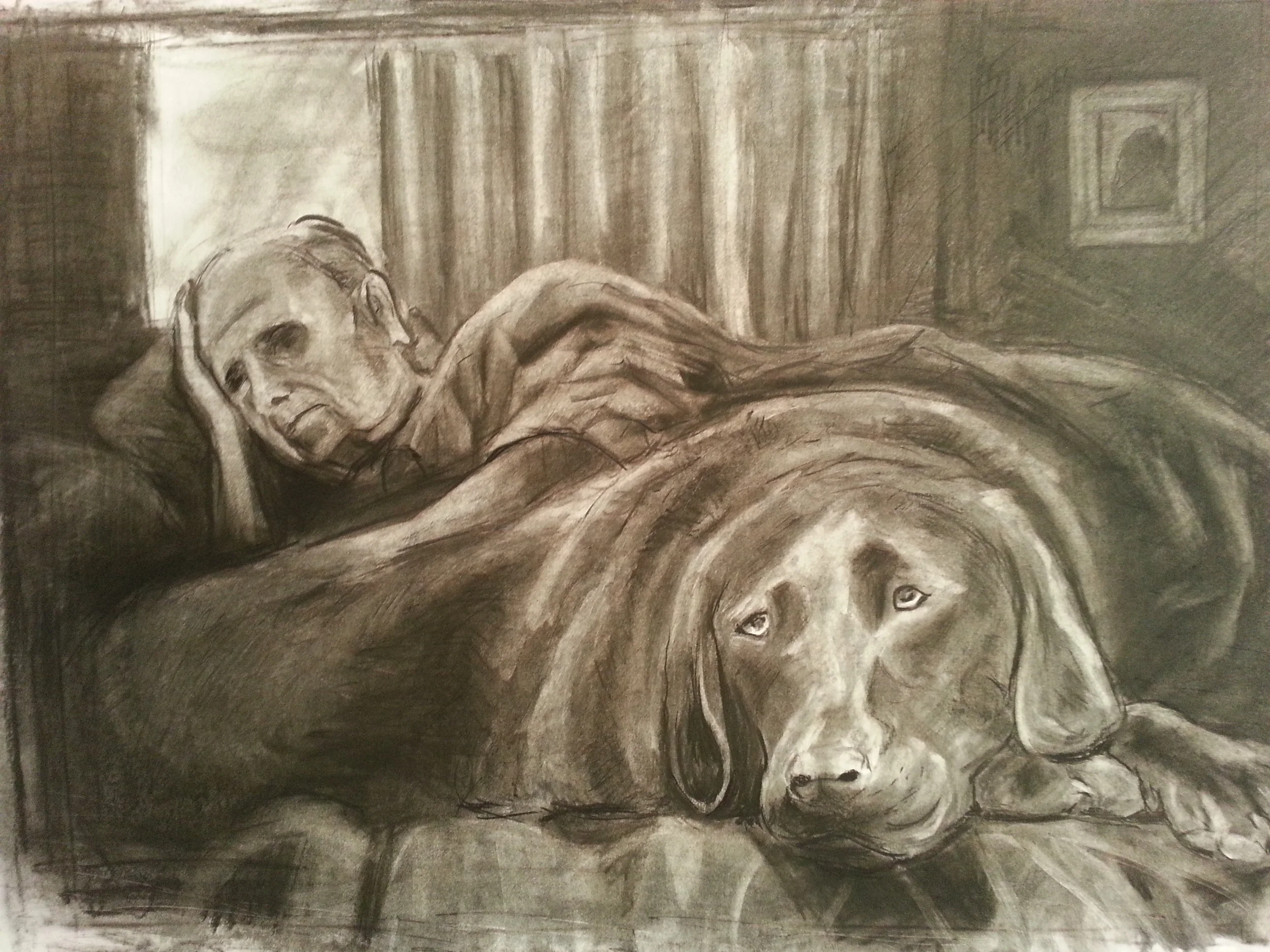 Black dog day