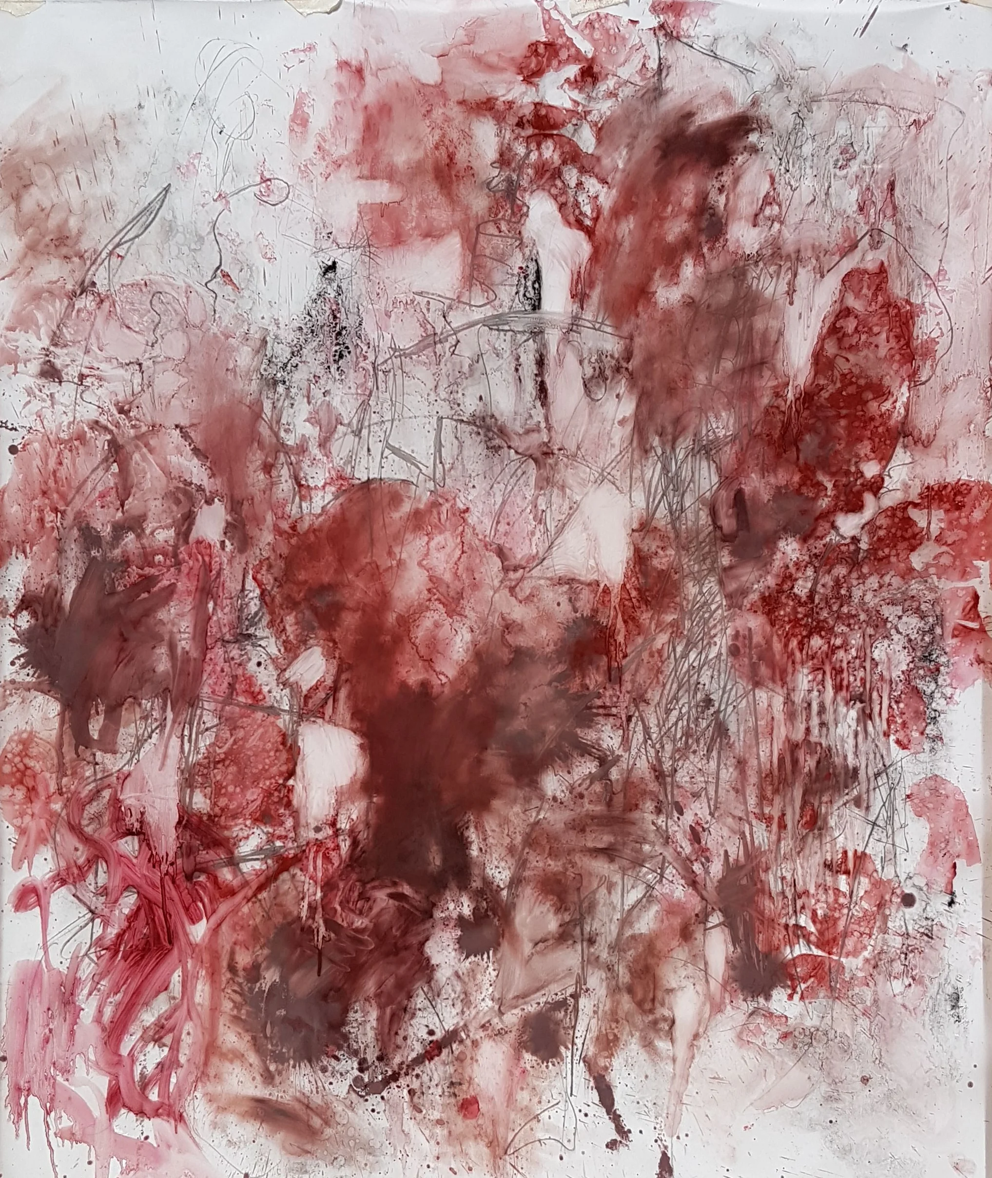 Bacchus series