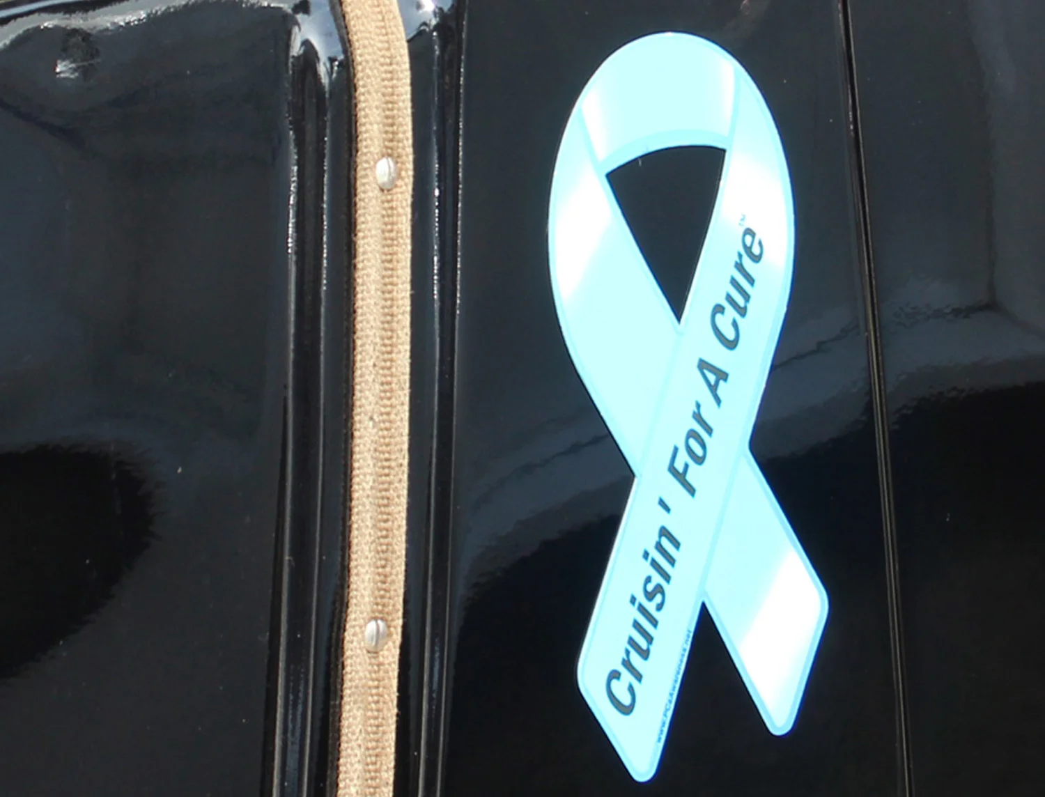Cruisin for a Cure 2013-Great cause car show.
