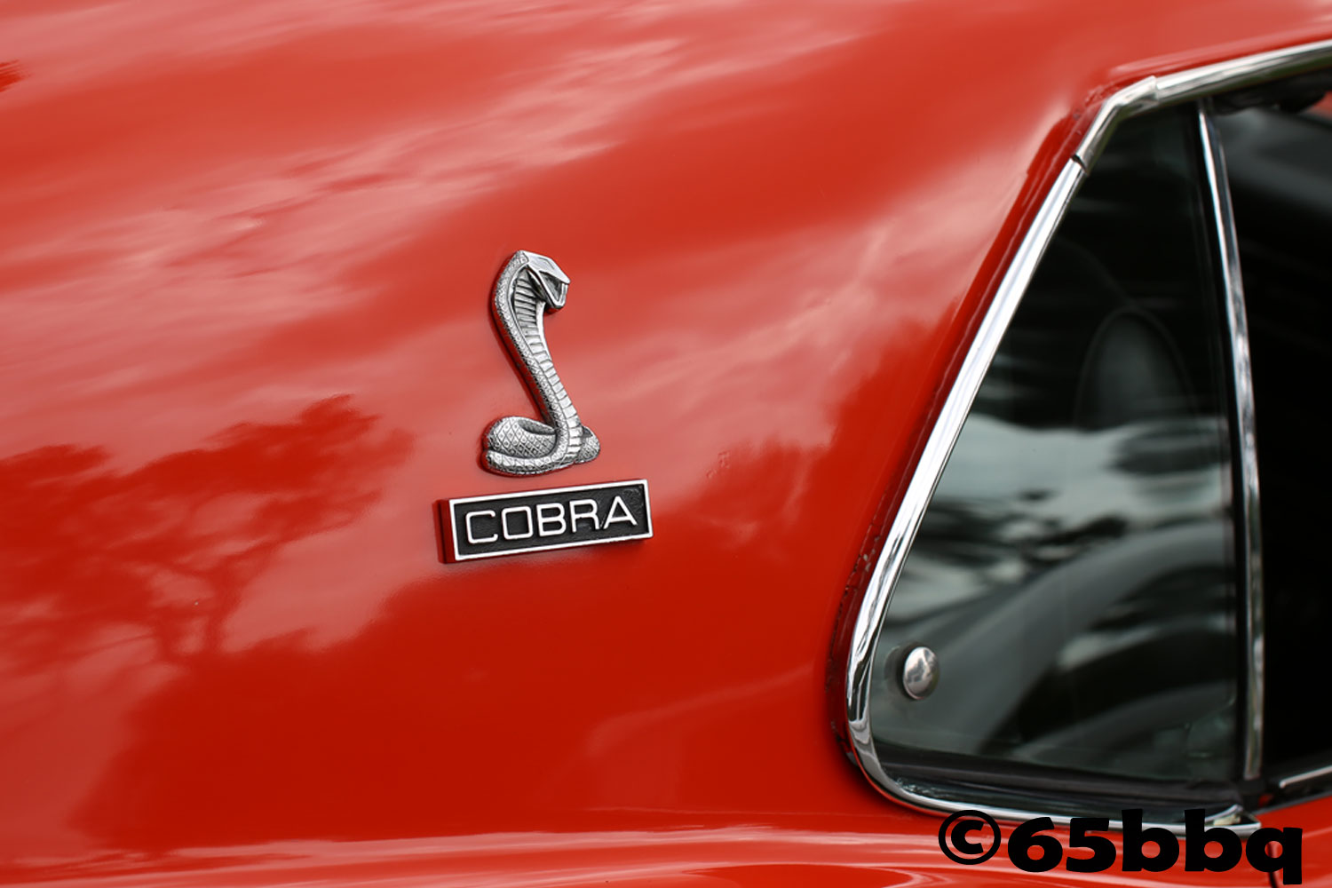 the-road-kings-car-show-photos-2017ccobra-signatrue-80.jpg