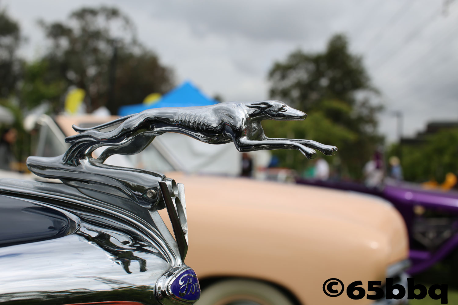 the-road-kings-car-show-photos-2017-greyhound-hood-mascot-16.jpg