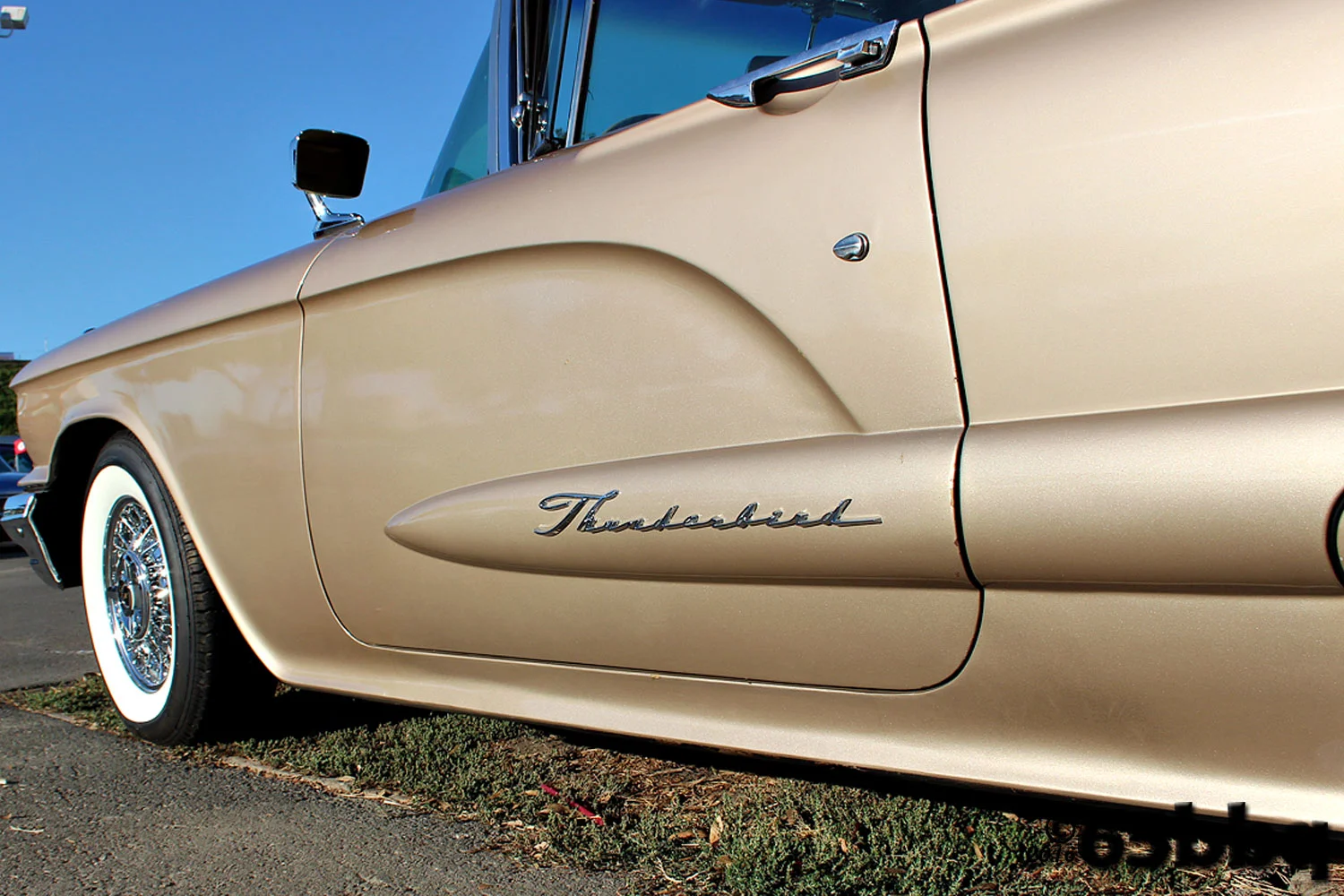 crusisin-4-cure-16-65bbq-1.jpg
