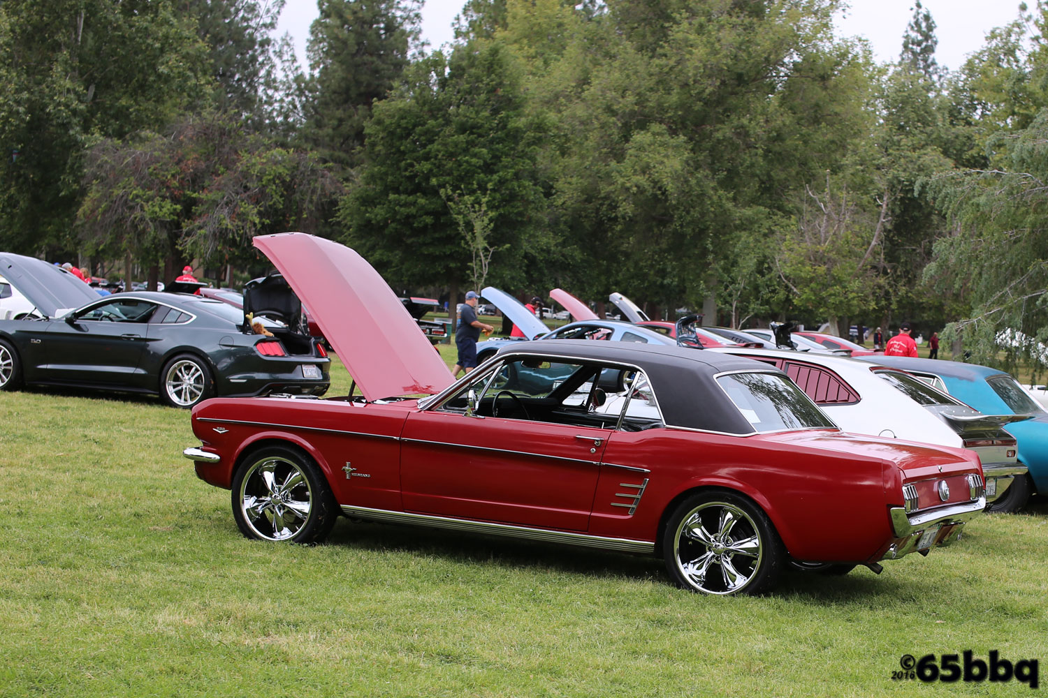 warners-2016-car-show-mustang-1245.jpg