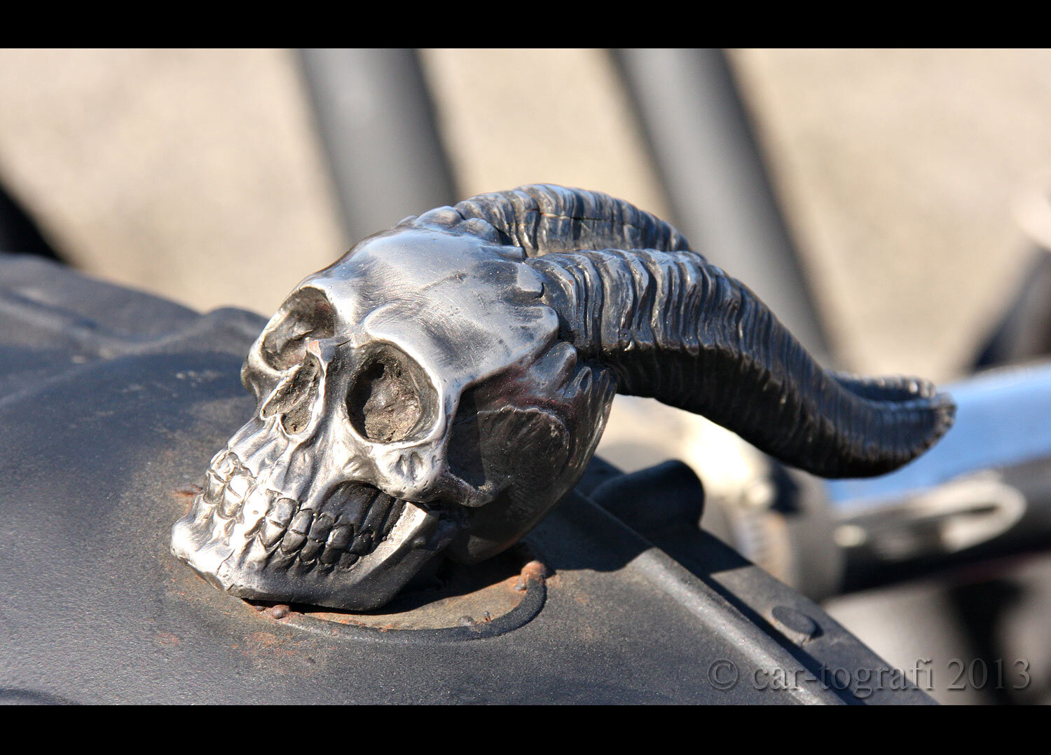 skull-horn.jpg
