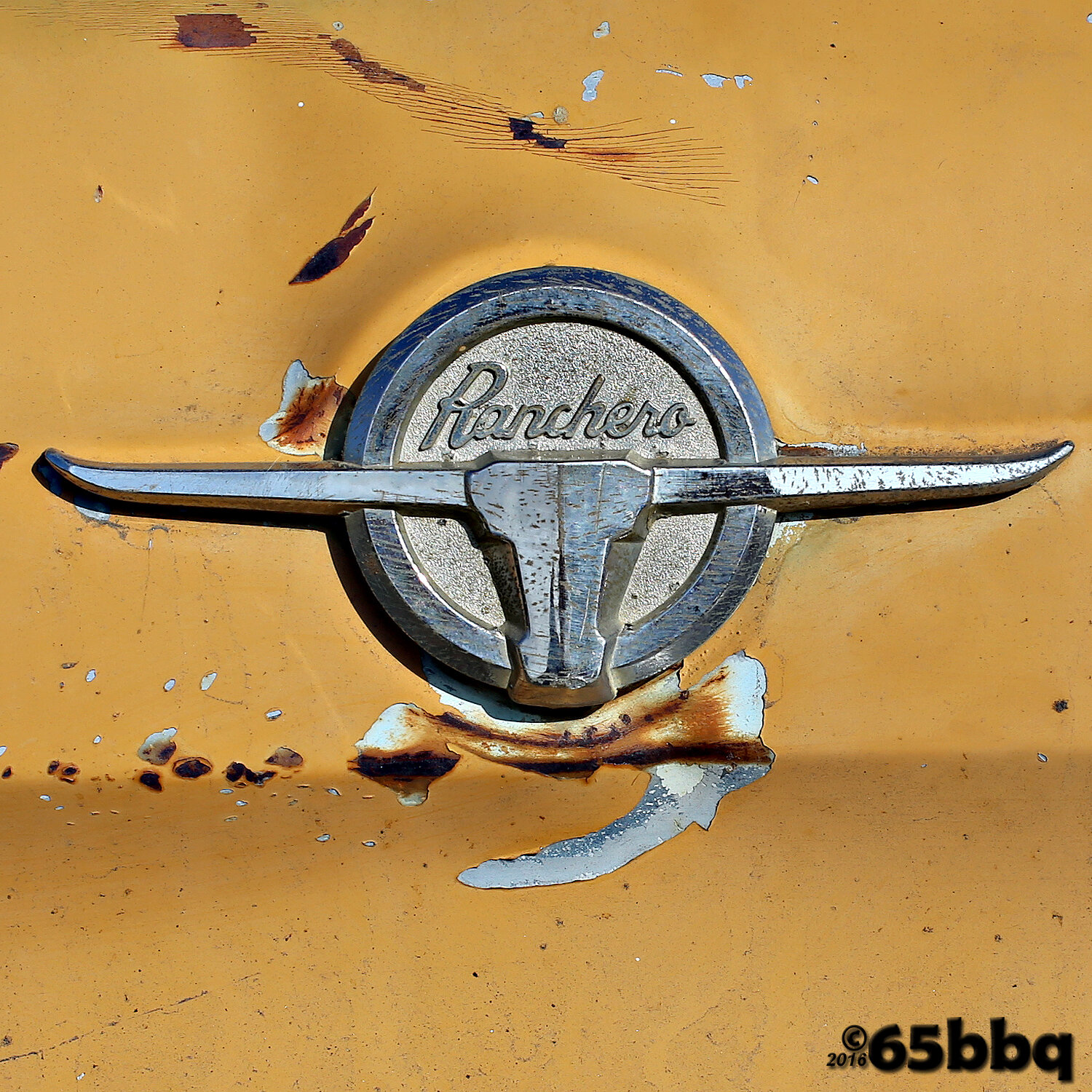 the-ranchero-emblem-steer-gold-pmsm-65bbq.jpg