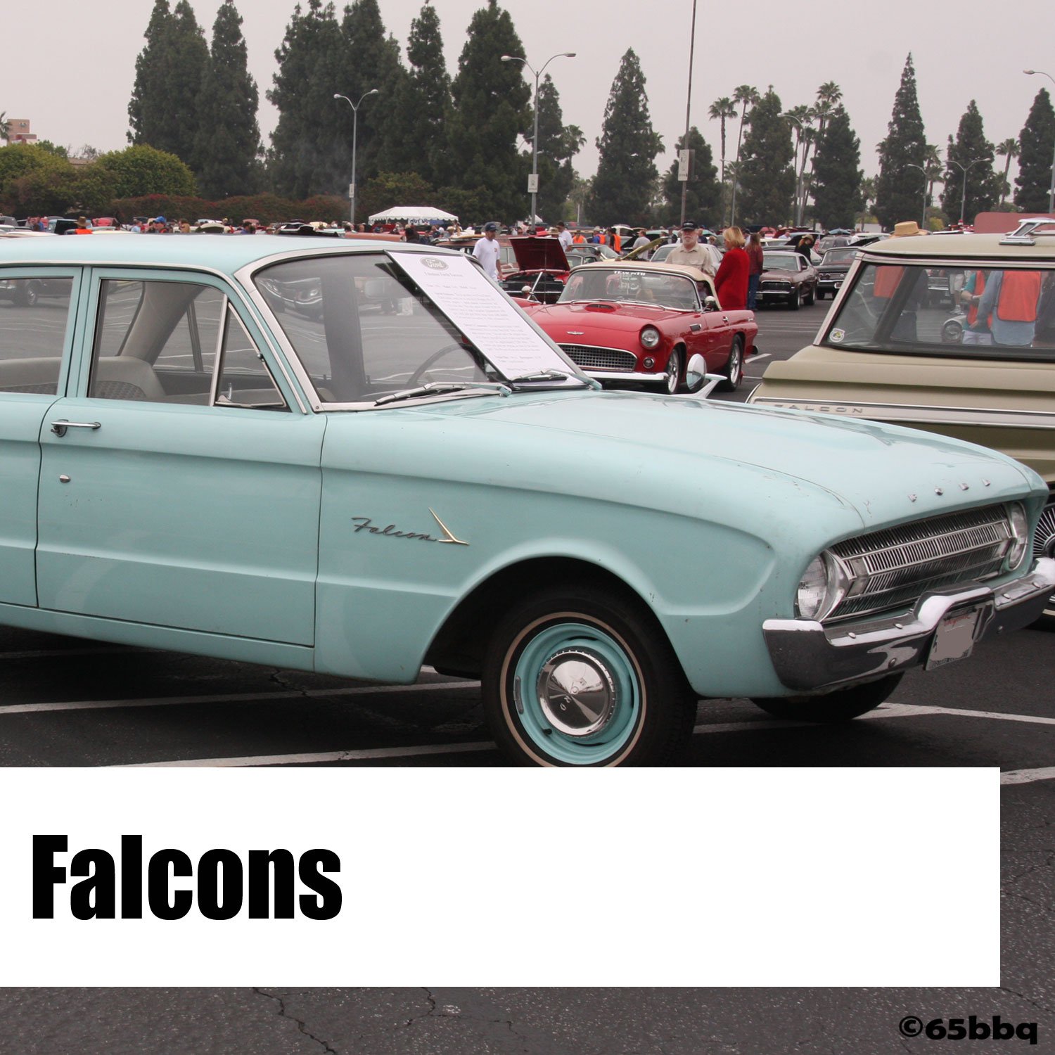 Ford Falcon Classics