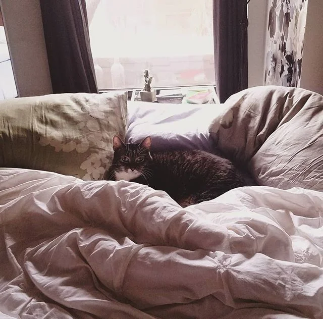 &quot;Hey, mom. Hows that 'job' working out for you?&quot;
-the cat

Whadda bitch.