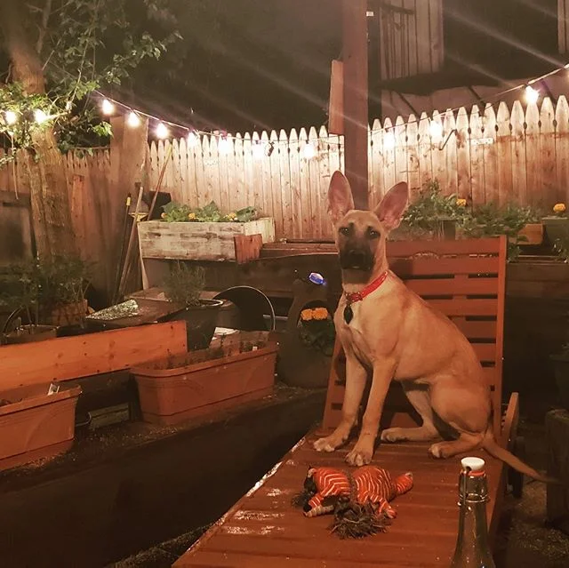 Alabama Honey is already better at summer than you