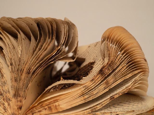 if i am missing or dead