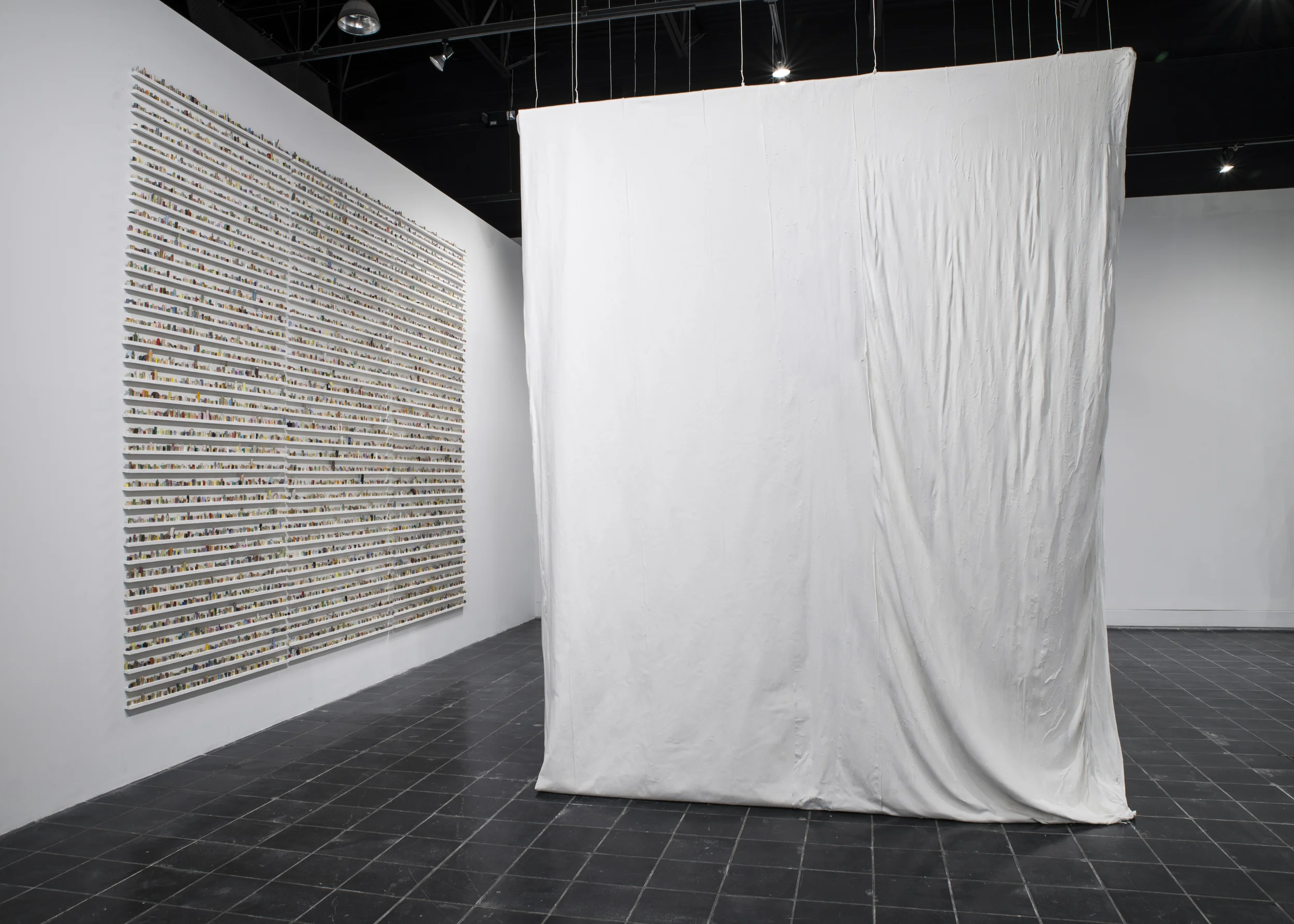  paintskins on wooden shelves, 144"x180"x2"  paintskin walls and floor, with wooden table and chair, 144"x100"x100"  2015  photo credit: stephen takacs 