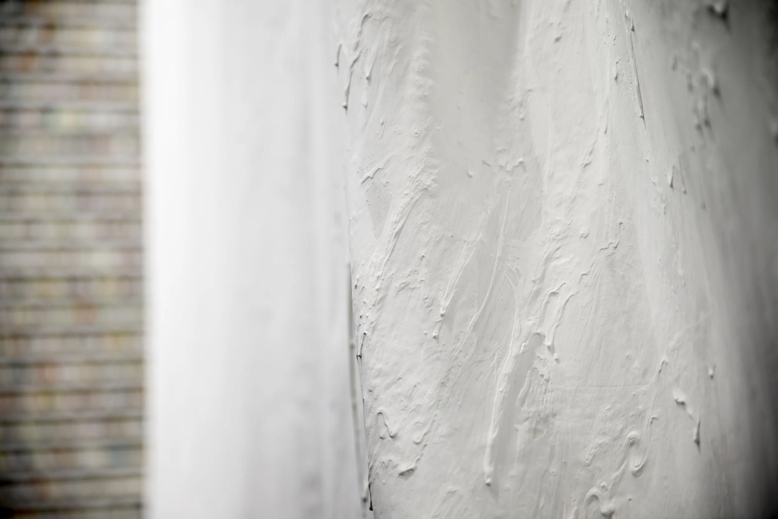  paintskins on wooden shelves  paintskin wall  2015  photo credit: stephen takacs 