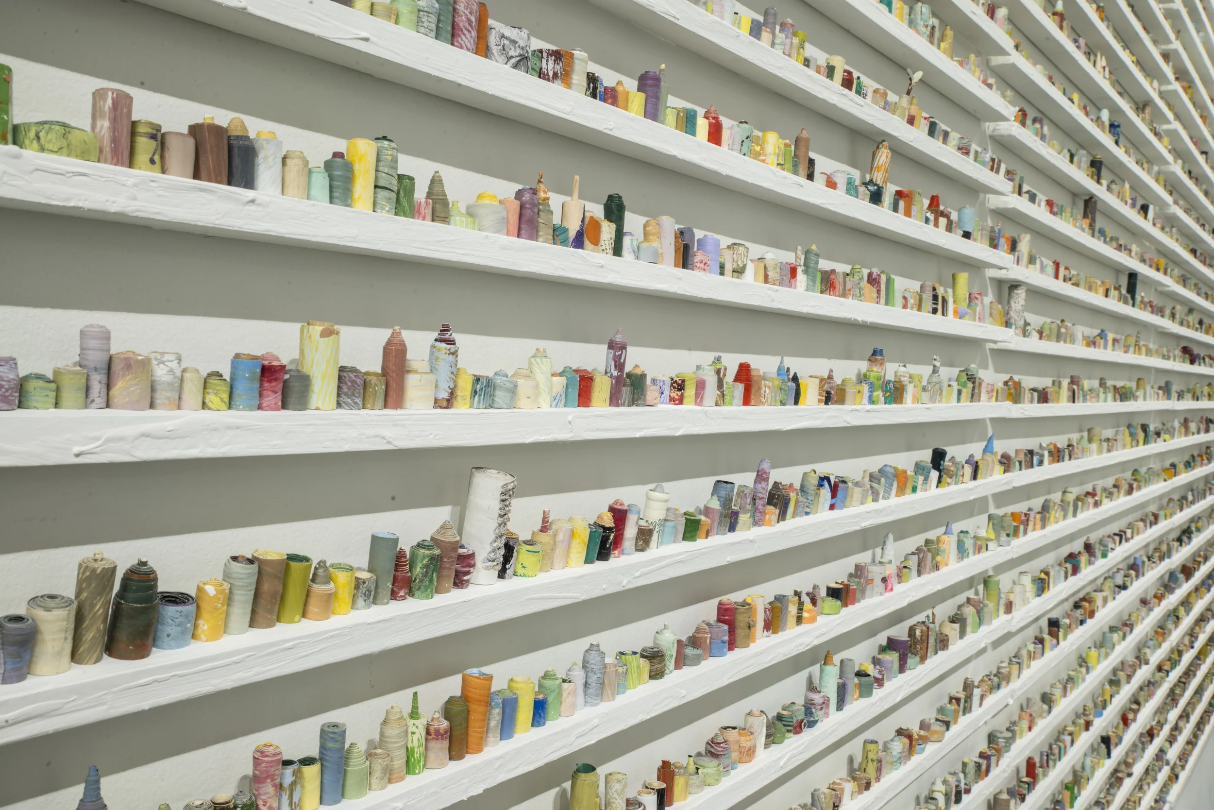  paintskins on wooden shelves  2015  photo credit: stephen takacs 