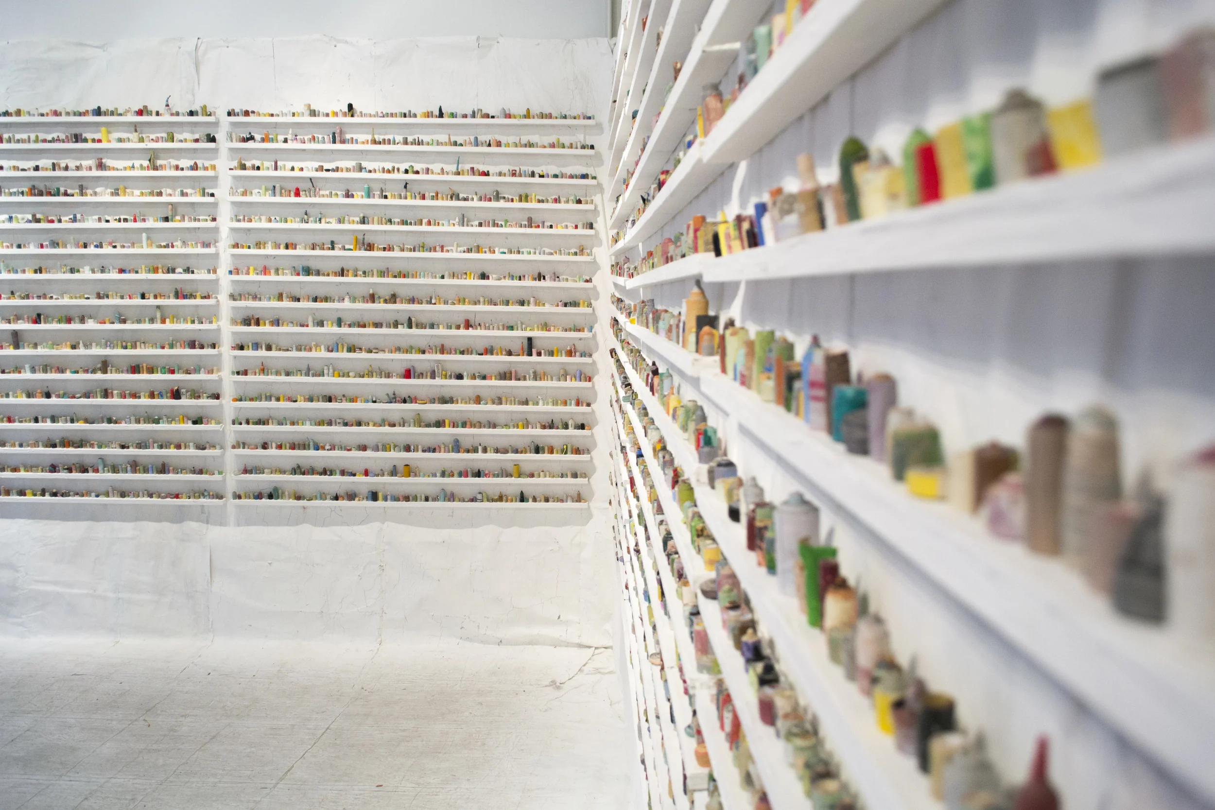  paintskins on wooden shelves, paintskin on wall and floor  2015 
