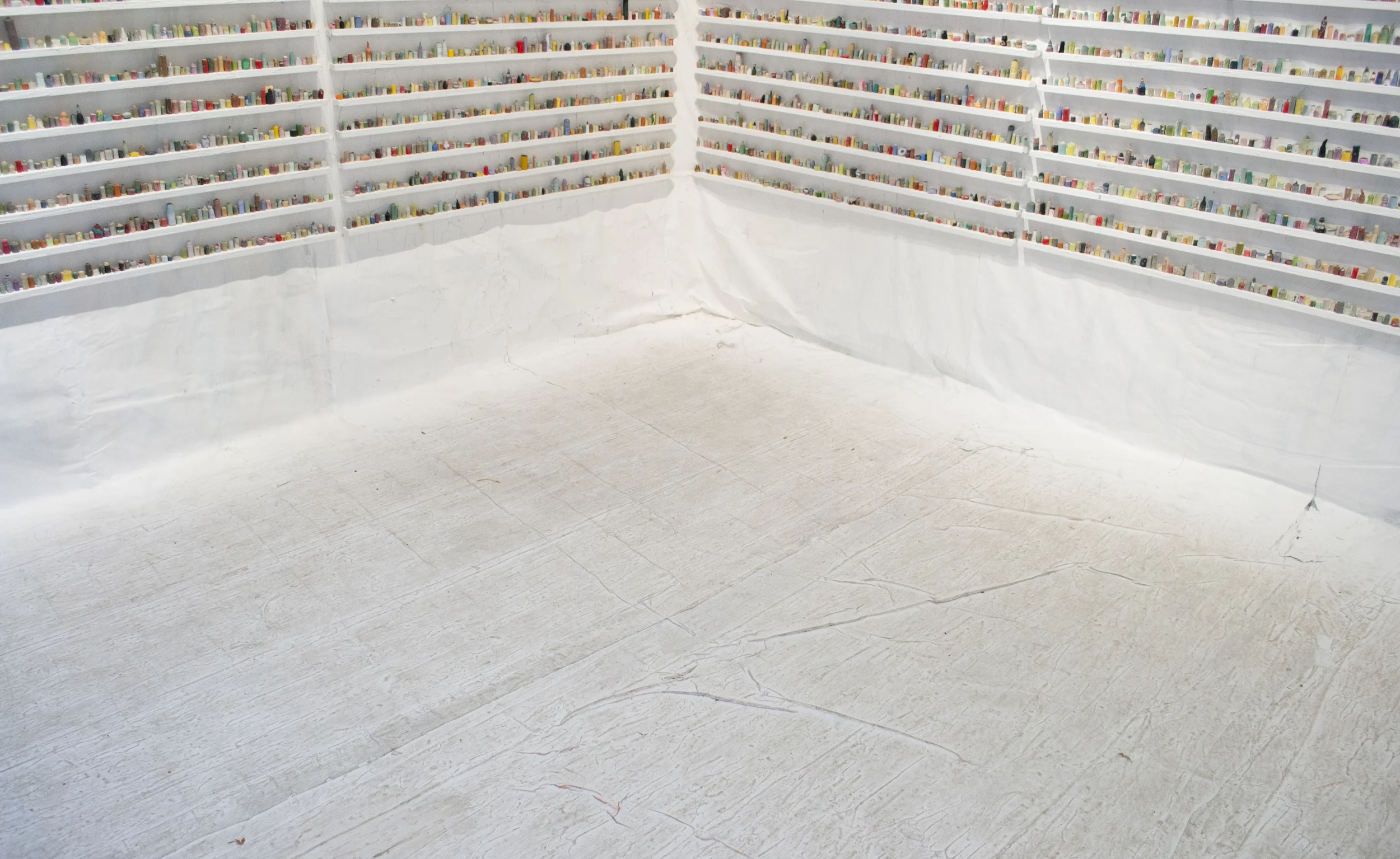  paintskins on wooden shelves, paintskin on wall and floor  2015 