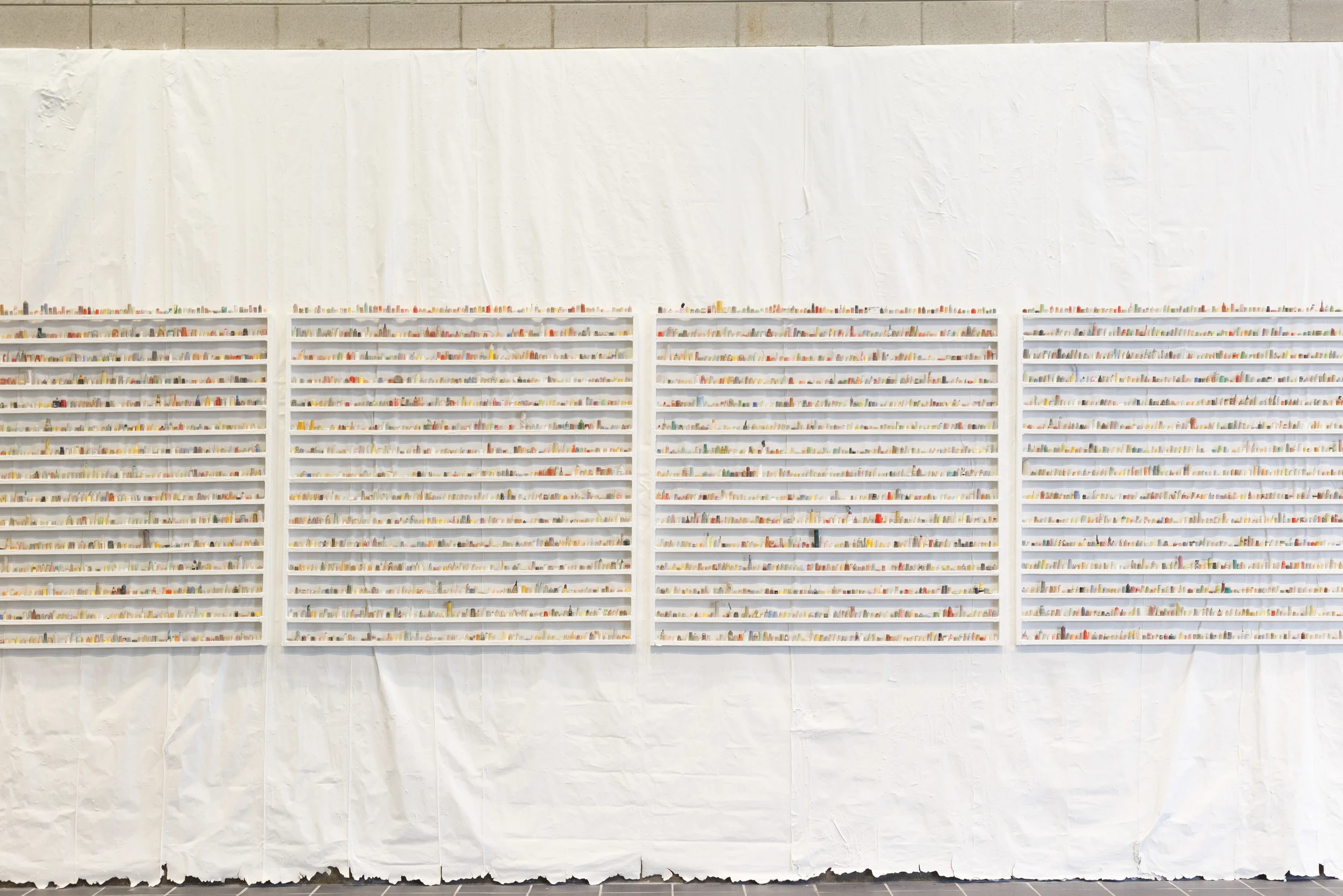  paintskins on wooden shelves, paintskin on wall  2016   photo credit: tamrin ingram  