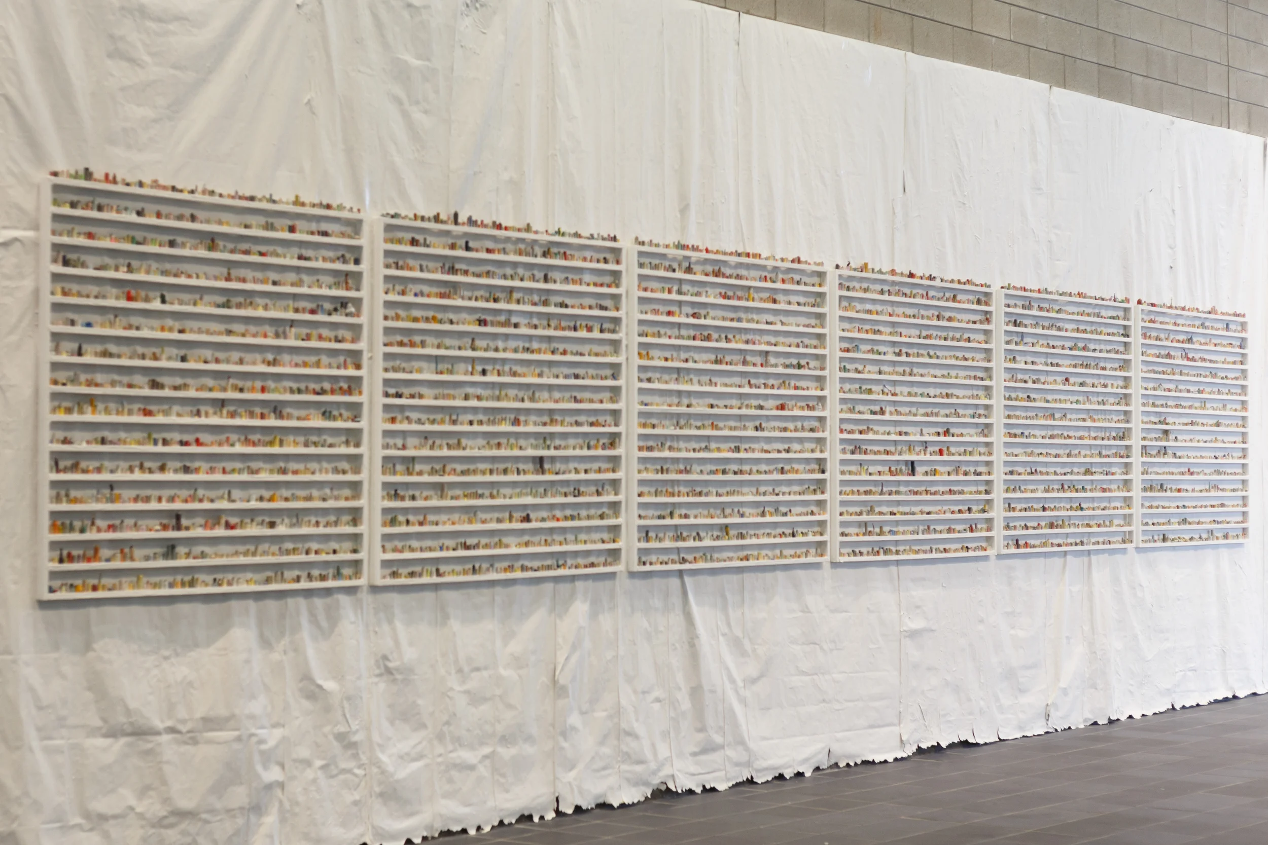  paintskins on wooden shelves, paintskin on wall   photo credit: tamrin ingram  