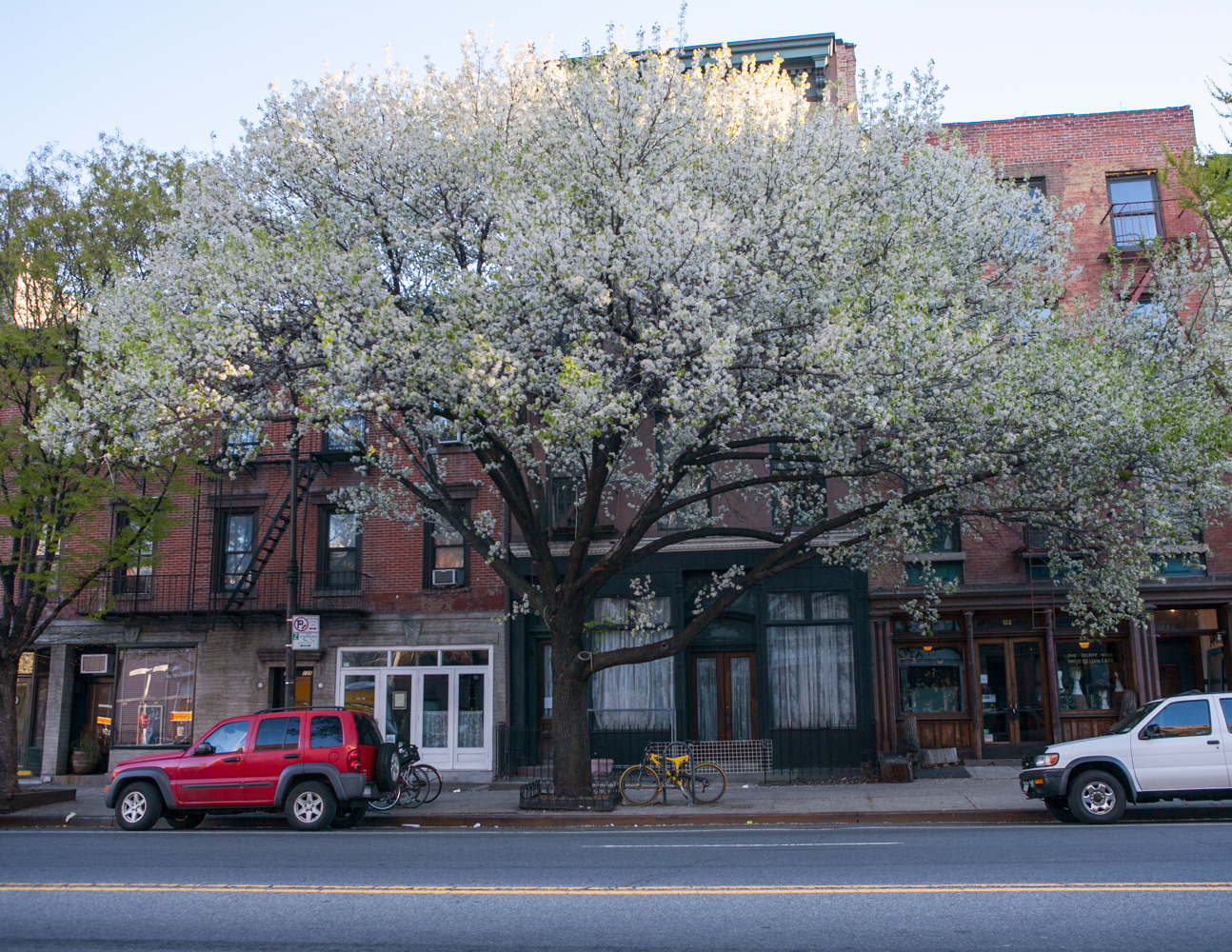 BKNY2014-04-278649.jpg