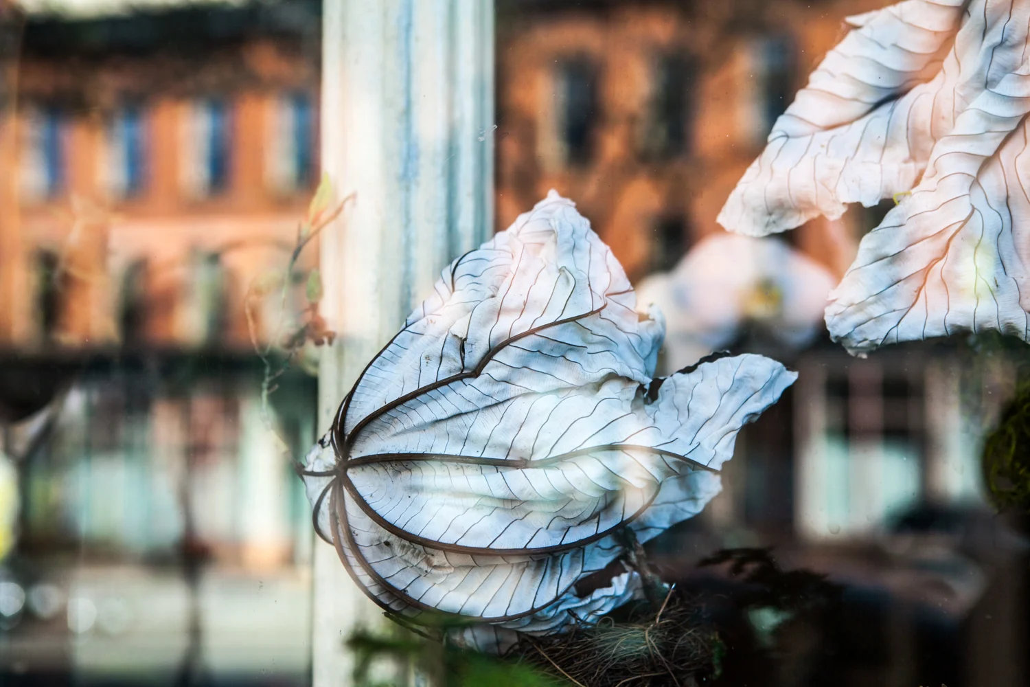 BKNY2014-04-278718.jpg
