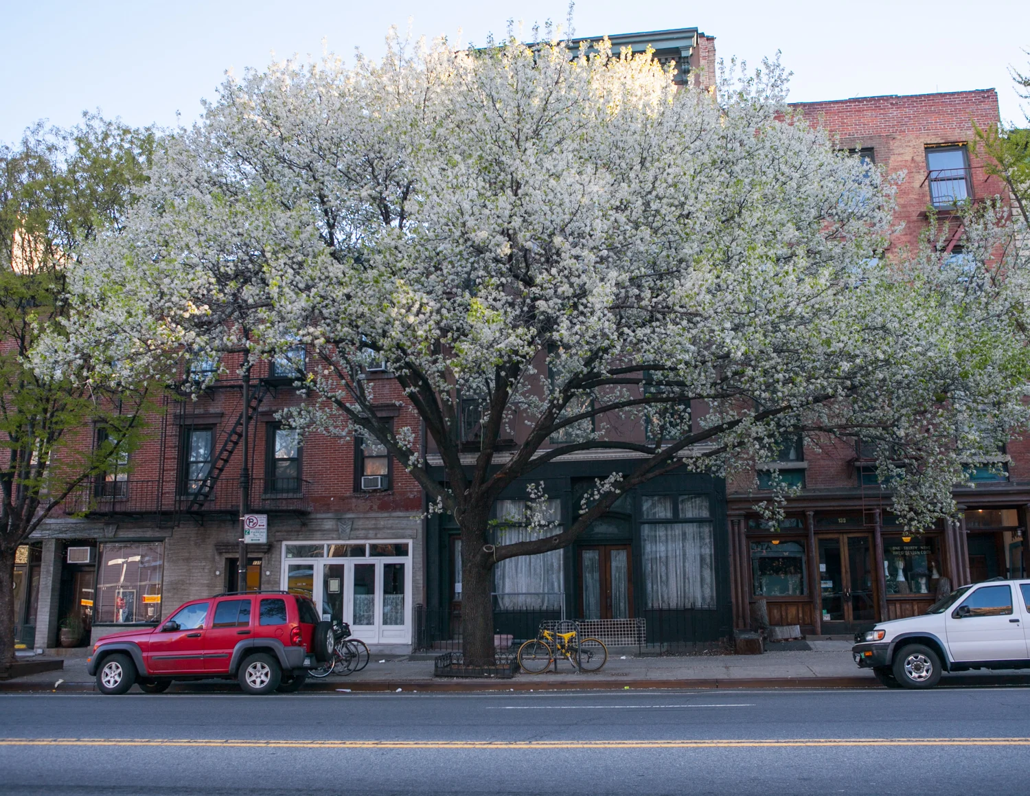 BKNY2014-04-278649.jpg