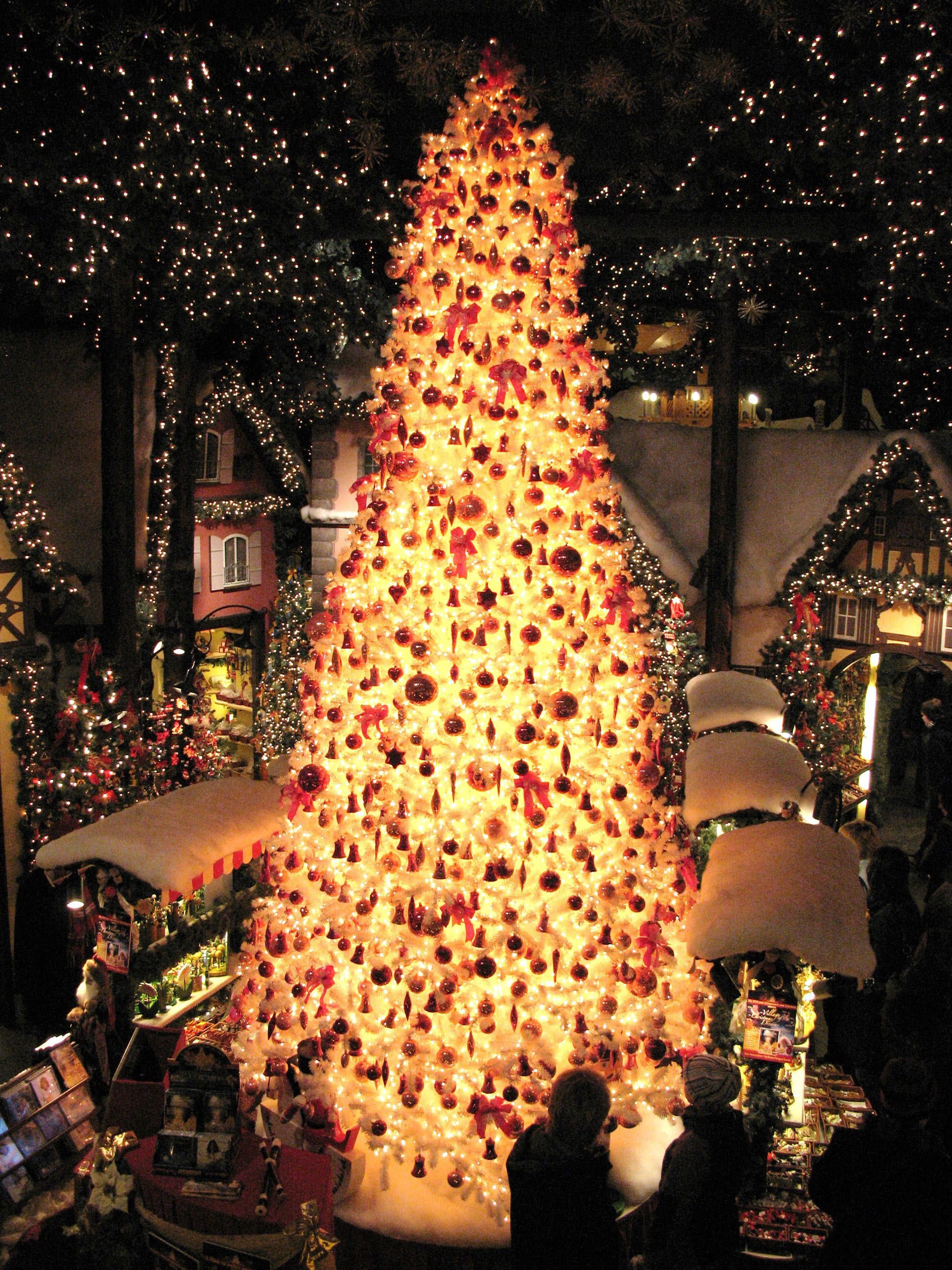 Magical tree inside Kathe Wohlfhart